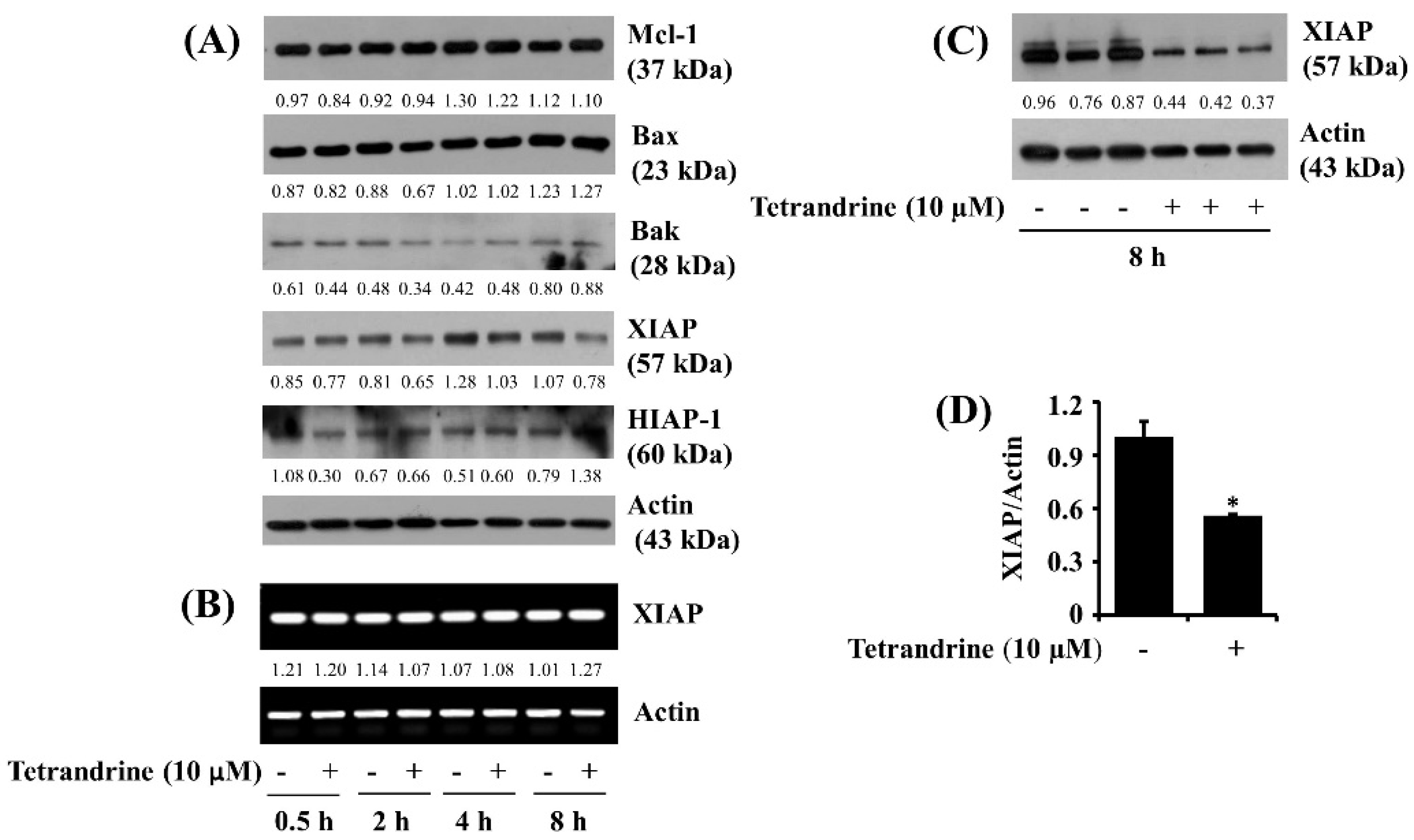 Biomolecules 12 00843 g004 Biomolecules 12 00843 g004