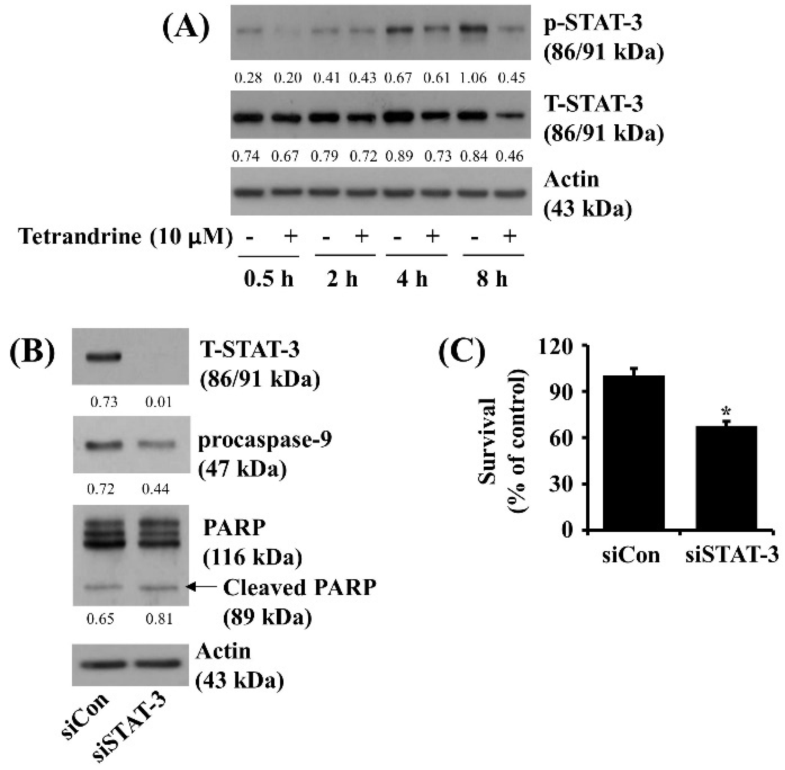 Biomolecules 12 00843 g005 Biomolecules 12 00843 g005