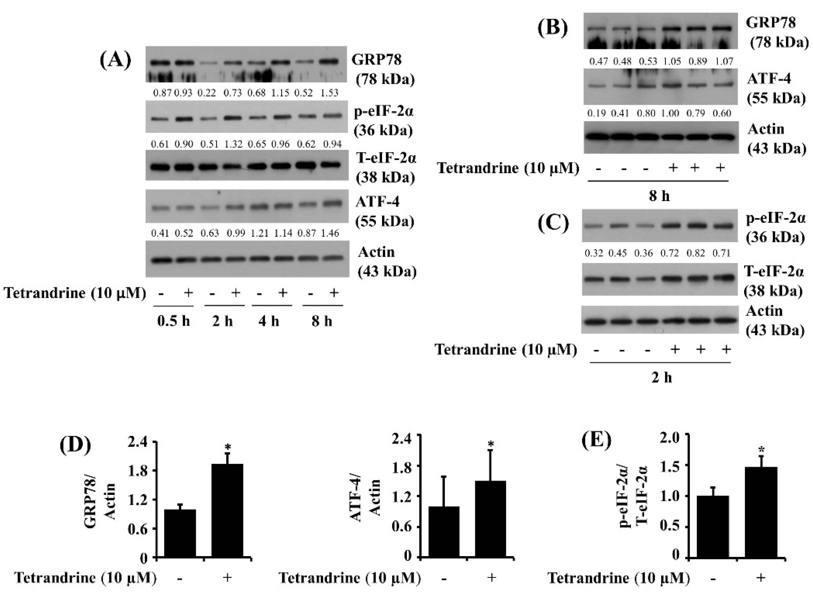 Biomolecules 12 00843 g006 Biomolecules 12 00843 g006