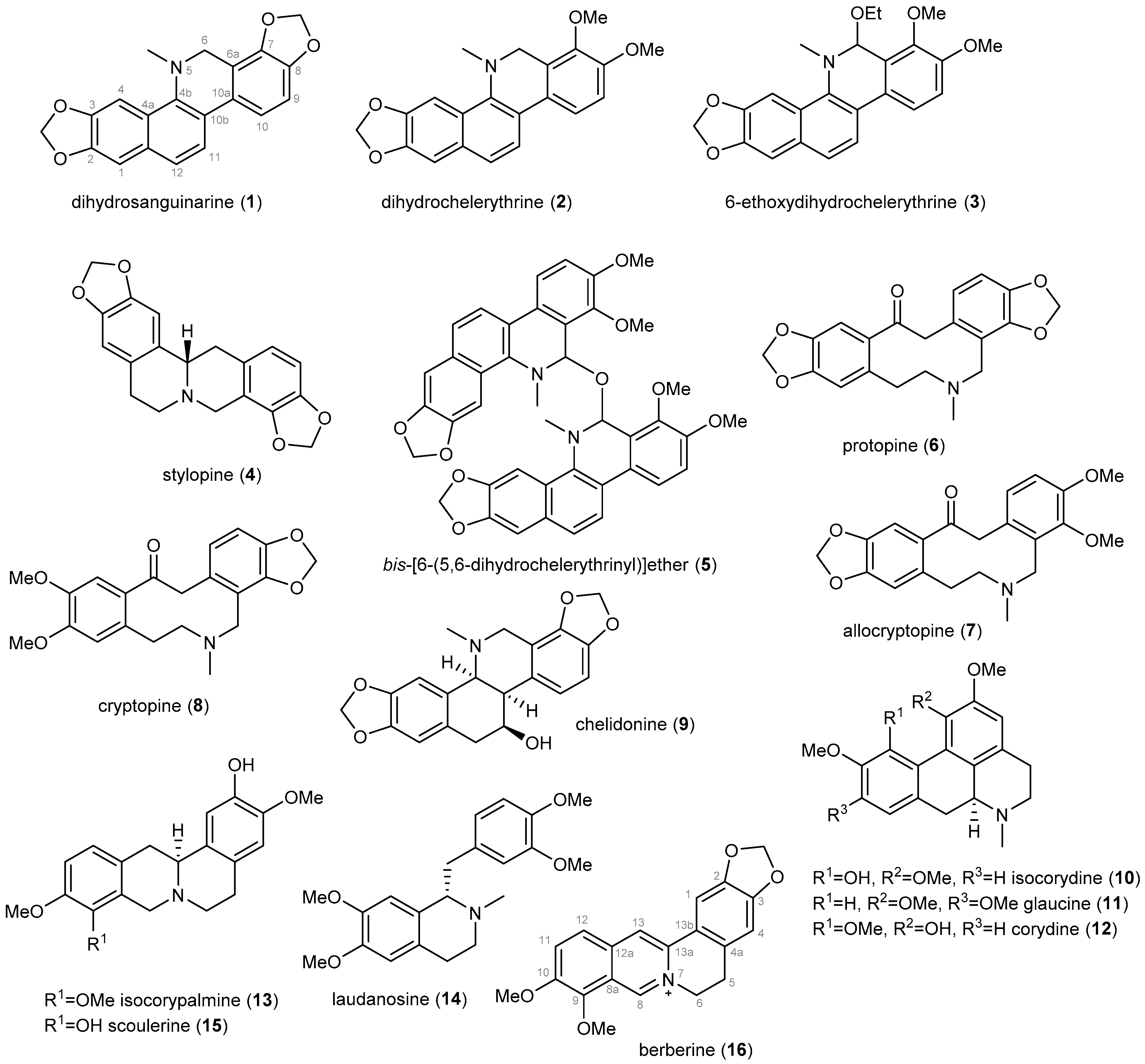 Biomolecules 12 00844 g001