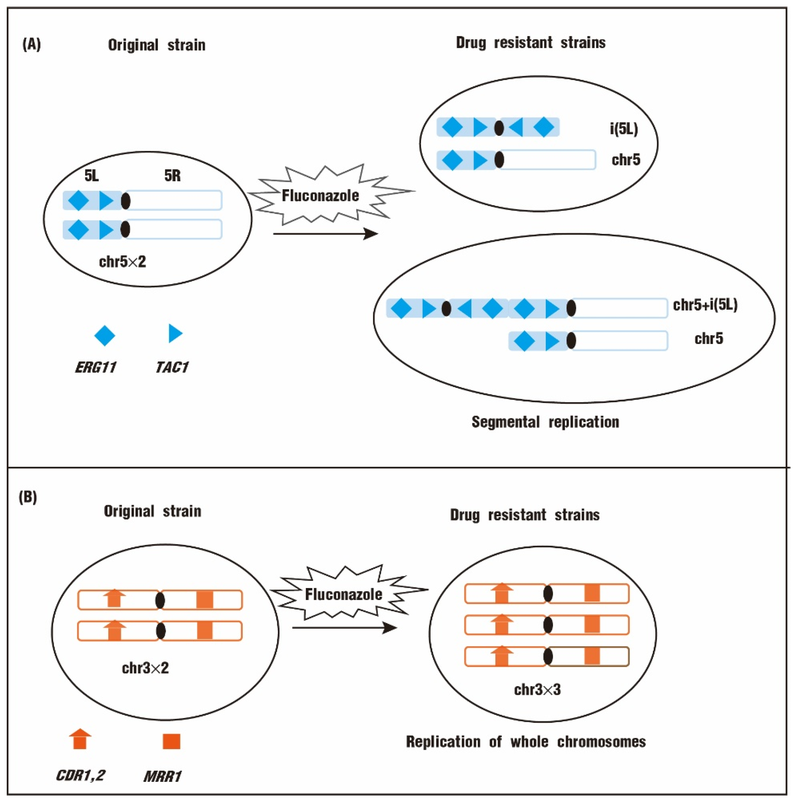 Biomolecules 12 00845 g002