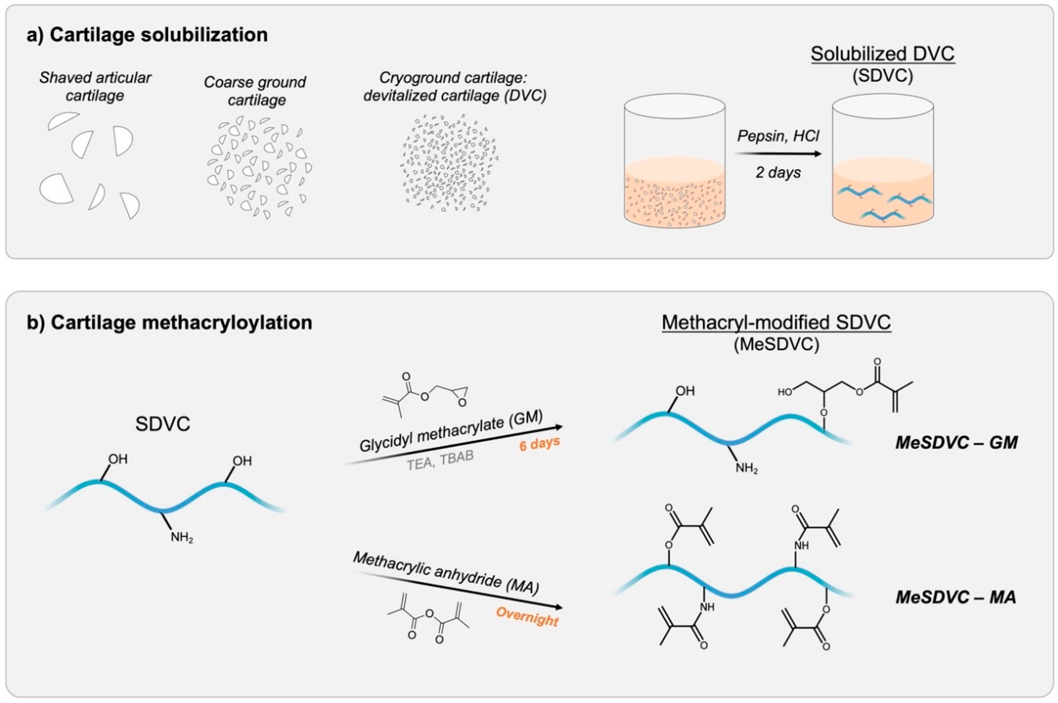 Biomolecules 12 00846 g001 550