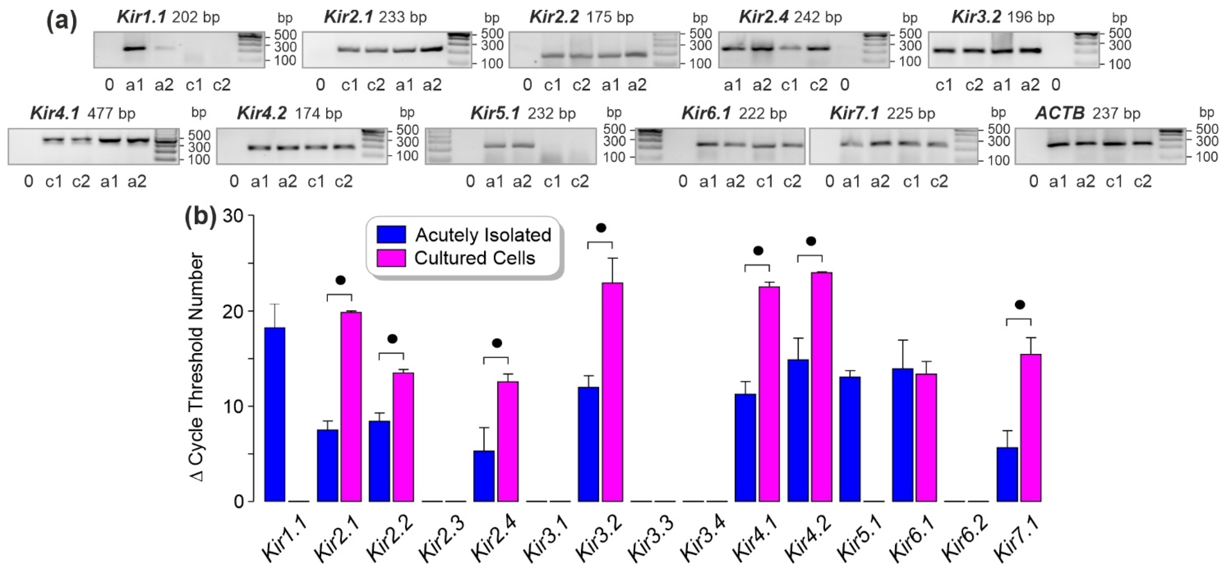 Biomolecules 12 00848 g001 Biomolecules 12 00848 g001