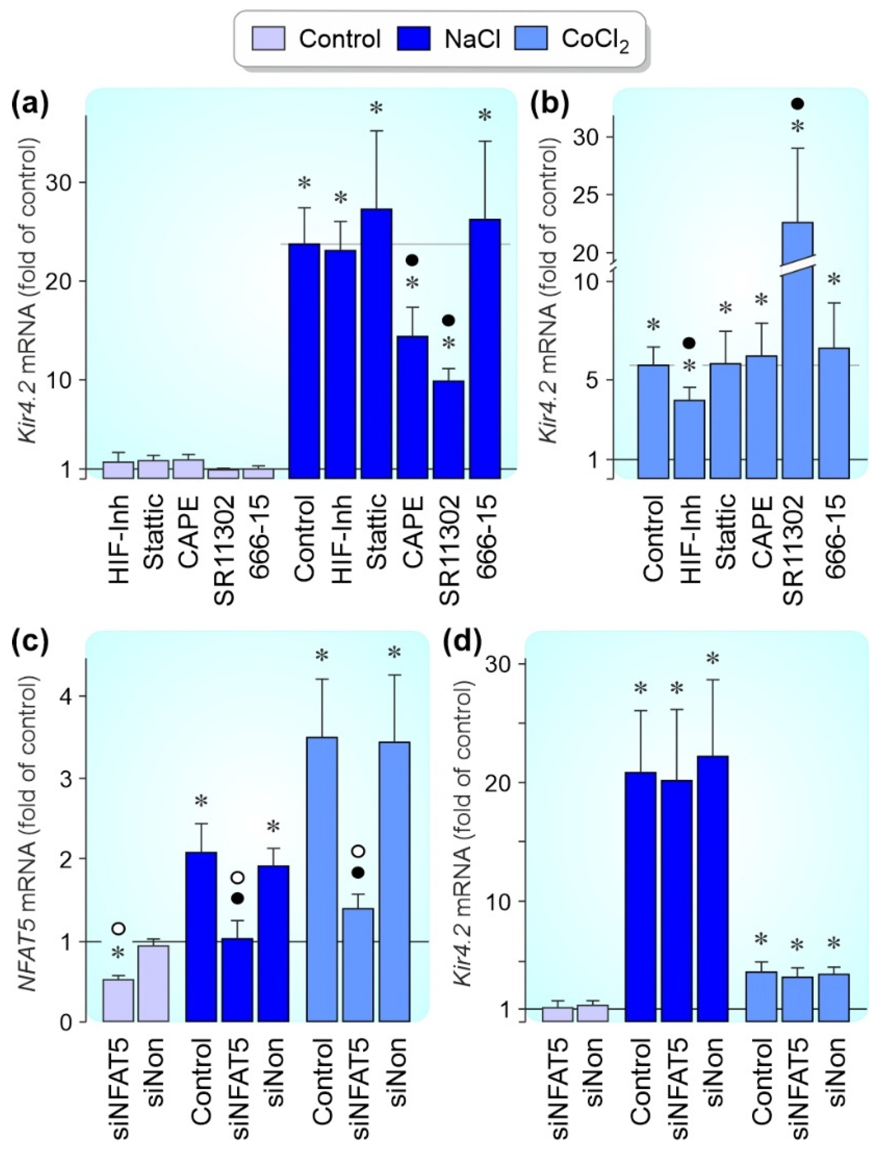 Biomolecules 12 00848 g005 Biomolecules 12 00848 g005