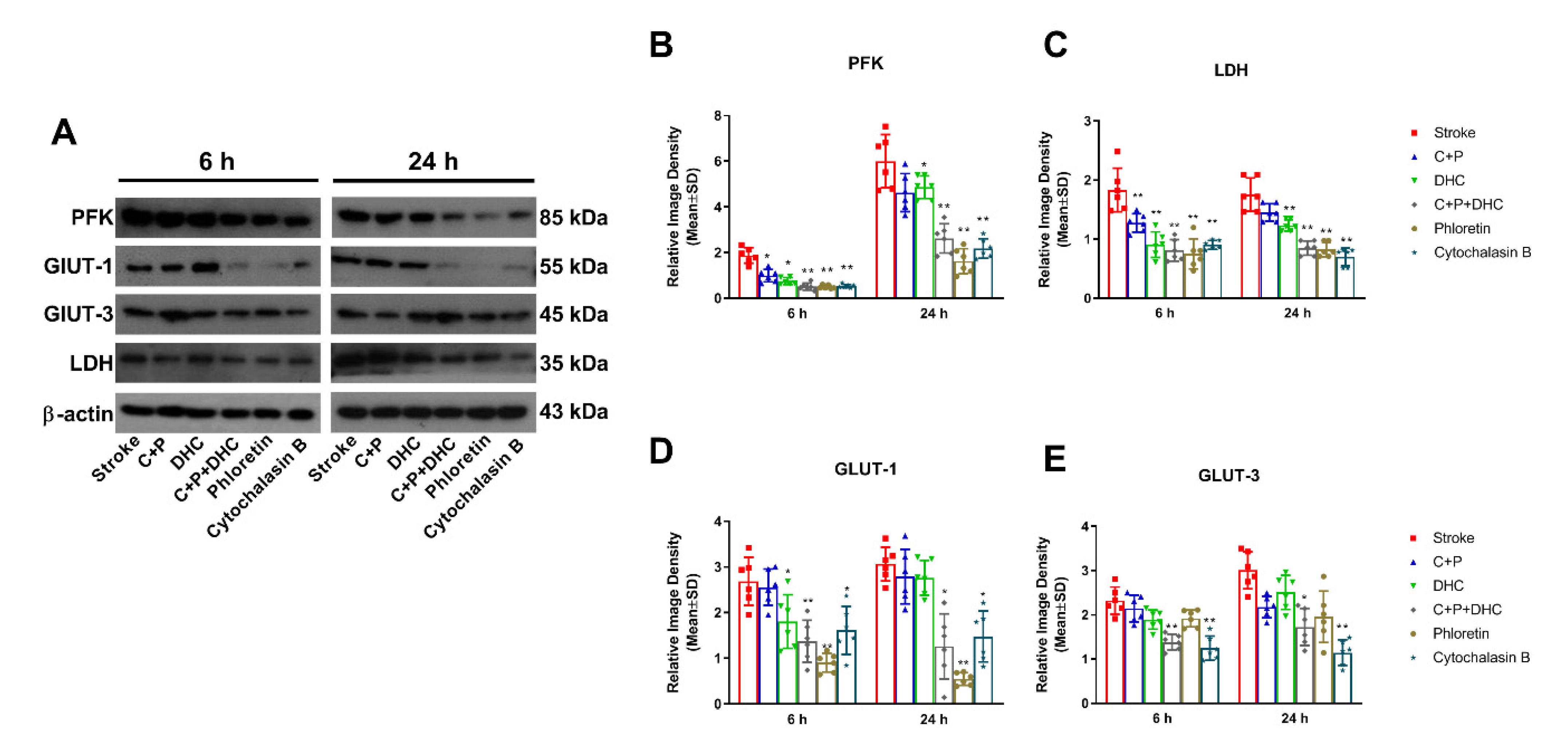 Biomolecules 12 00851 g005