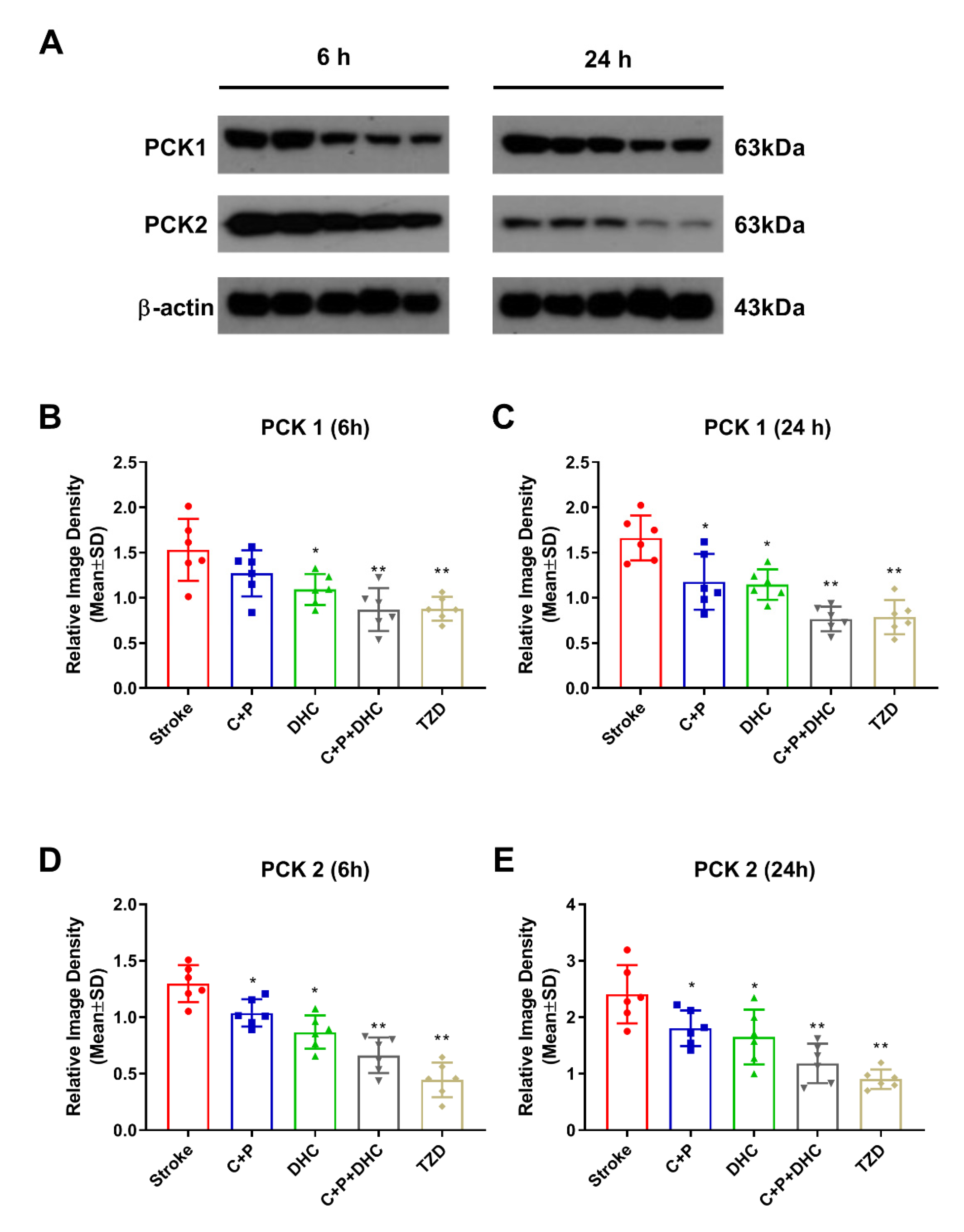 Biomolecules 12 00851 g006