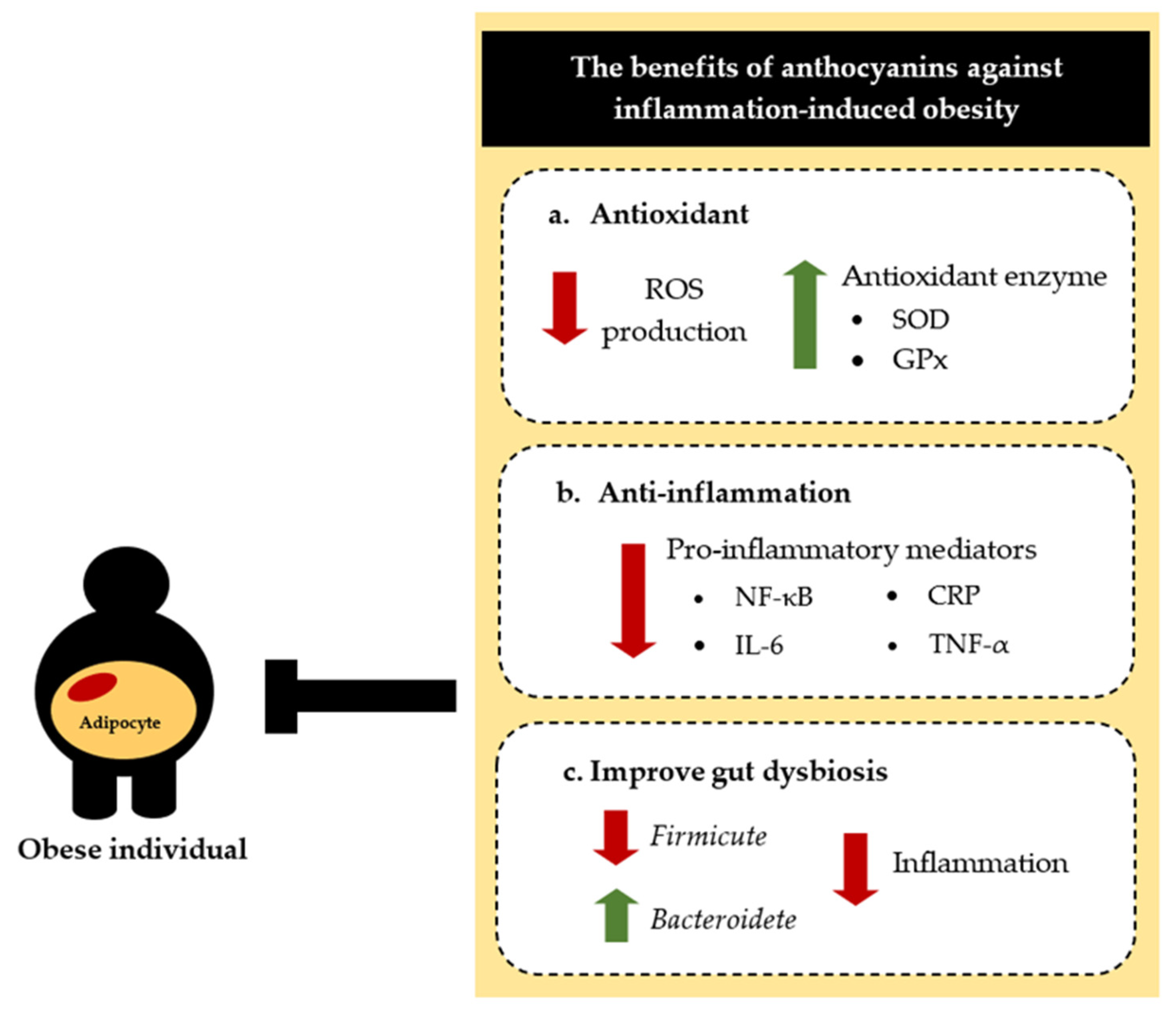 Biomolecules 12 00852 g004