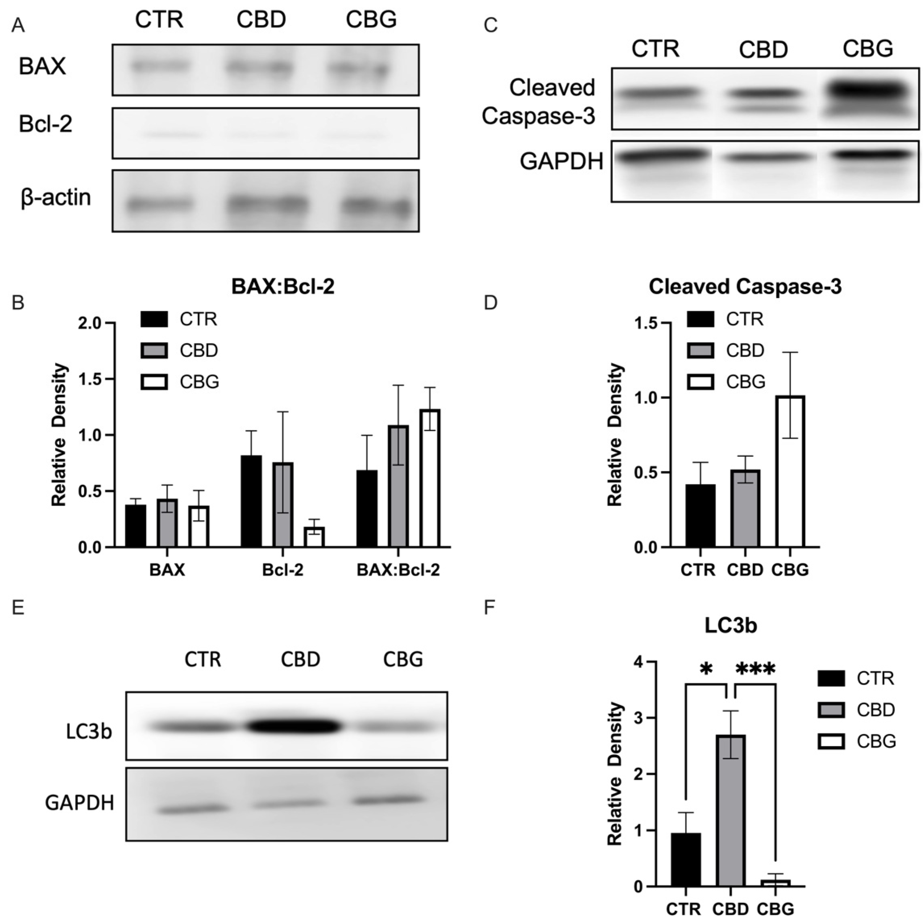 Biomolecules 12 00854 g004 Biomolecules 12 00854 g004