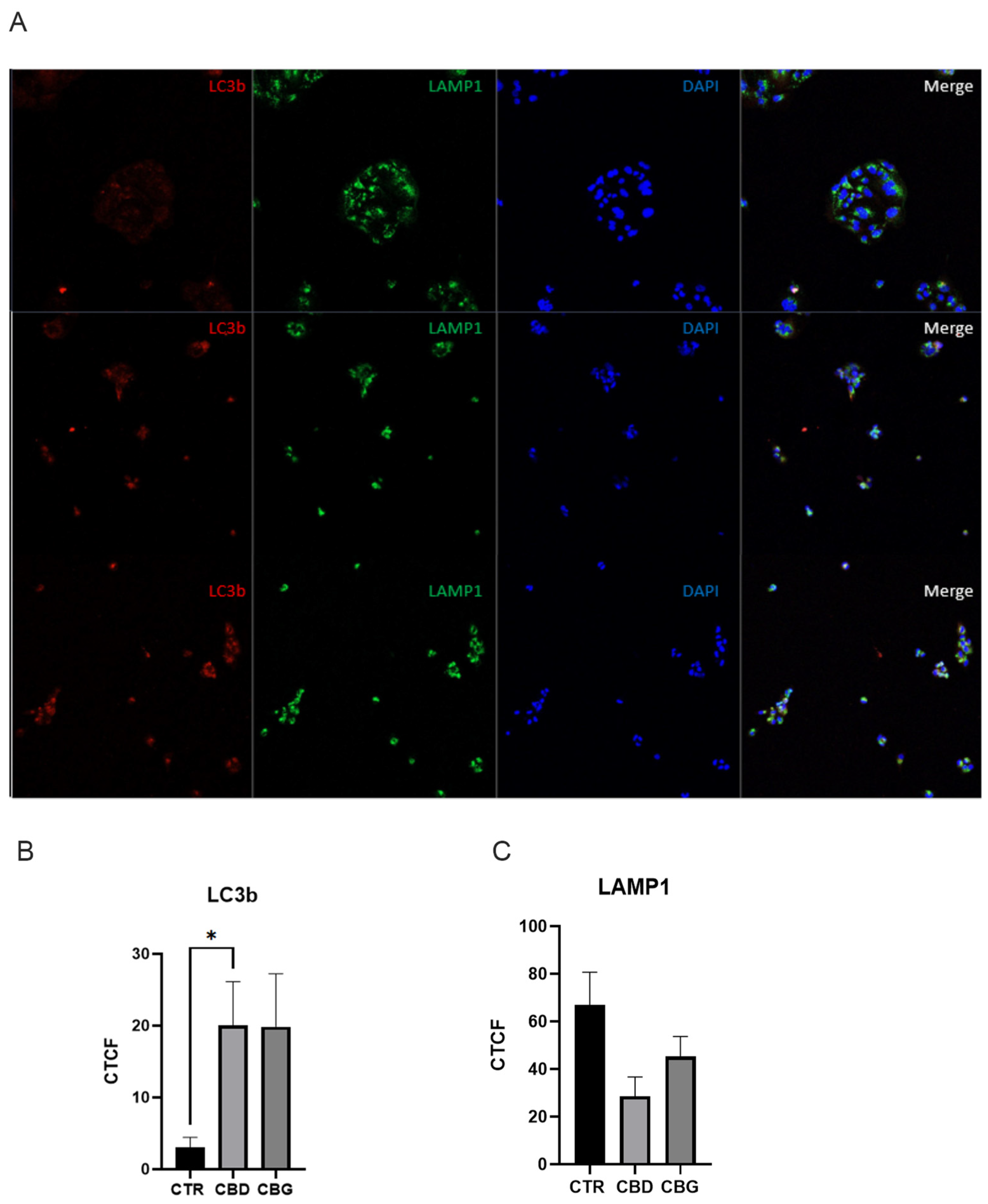 Biomolecules 12 00854 g005 Biomolecules 12 00854 g005