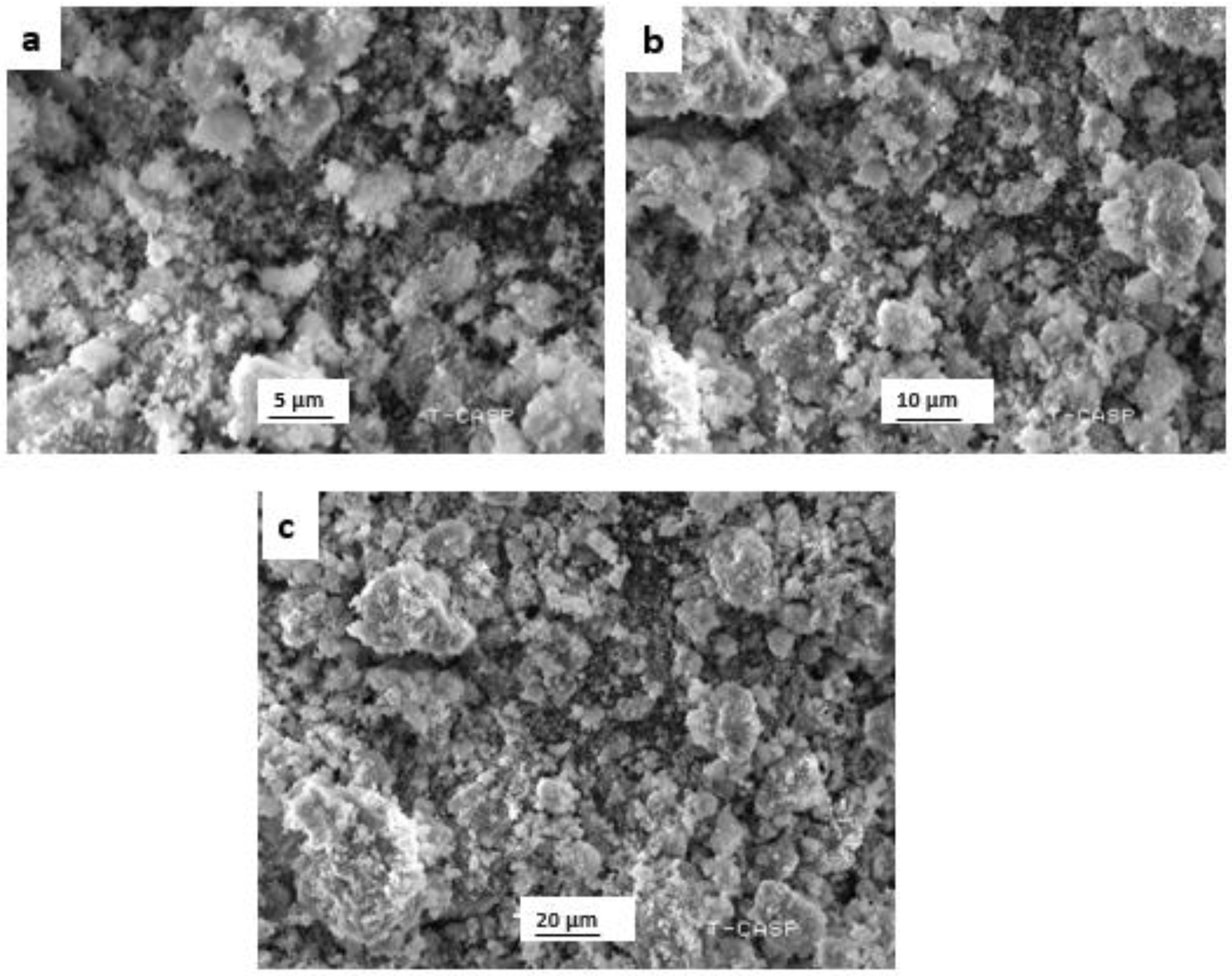 Biomolecules 12 00855 g005 550