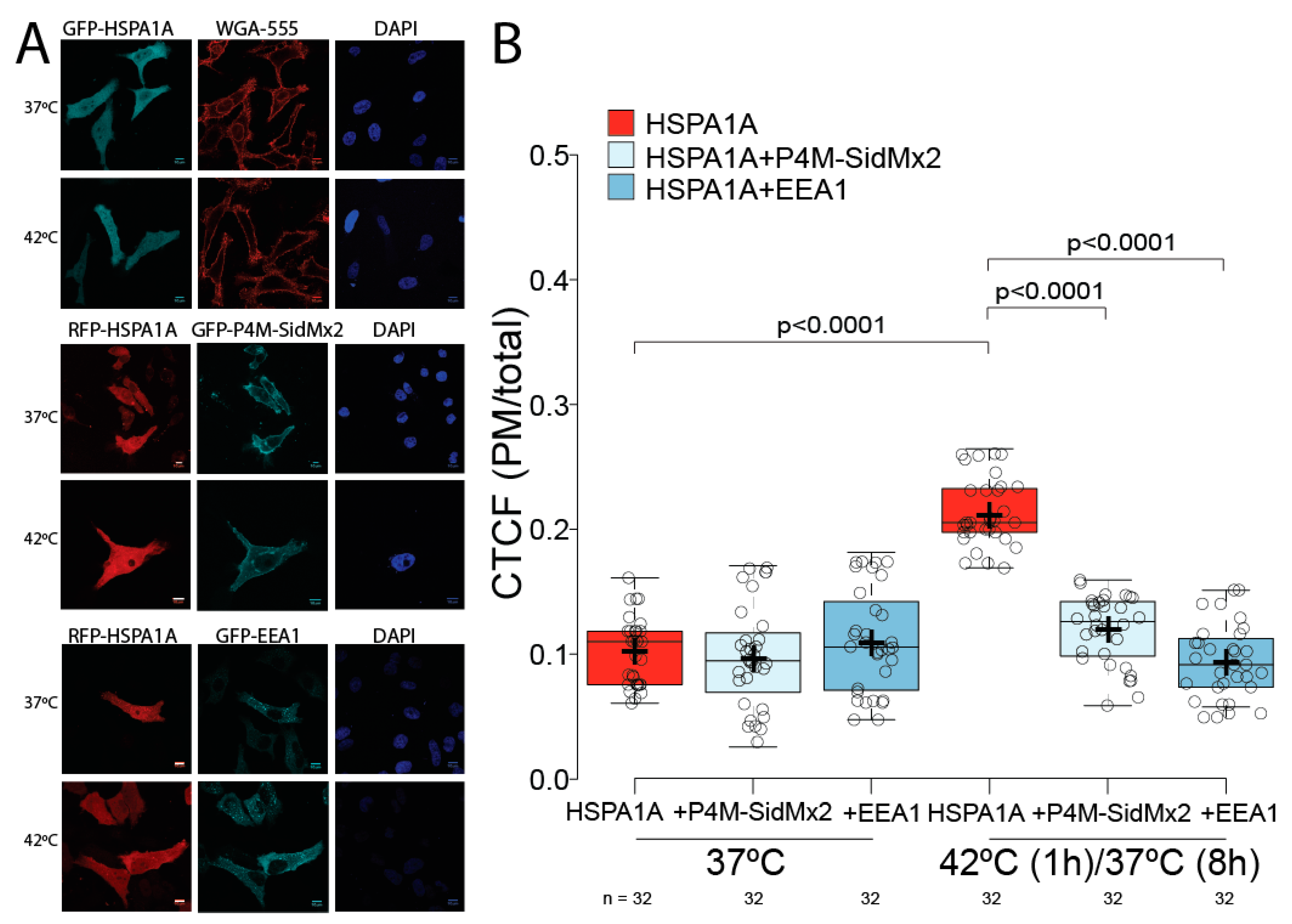 Biomolecules 12 00856 g002