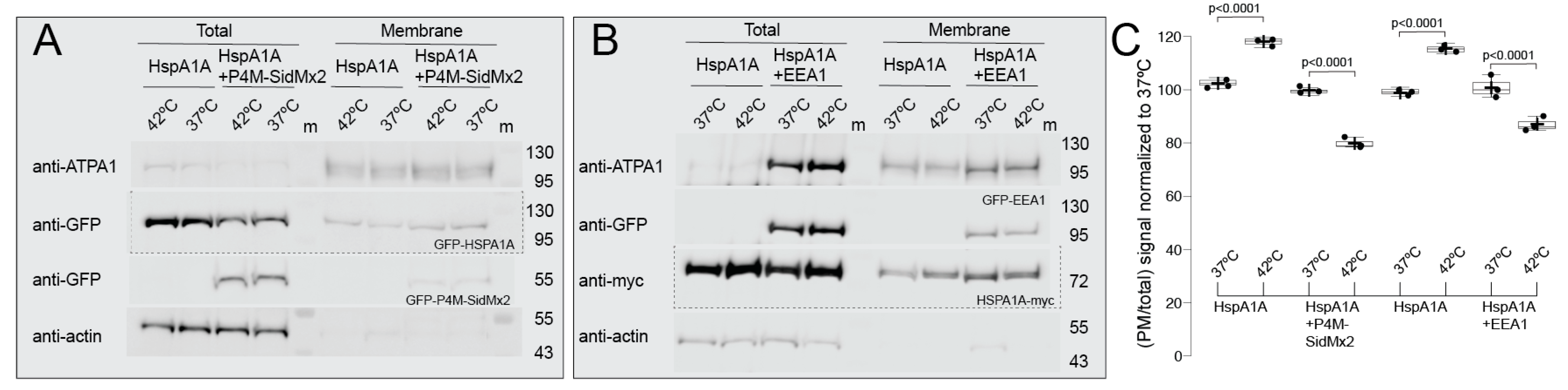Biomolecules 12 00856 g003