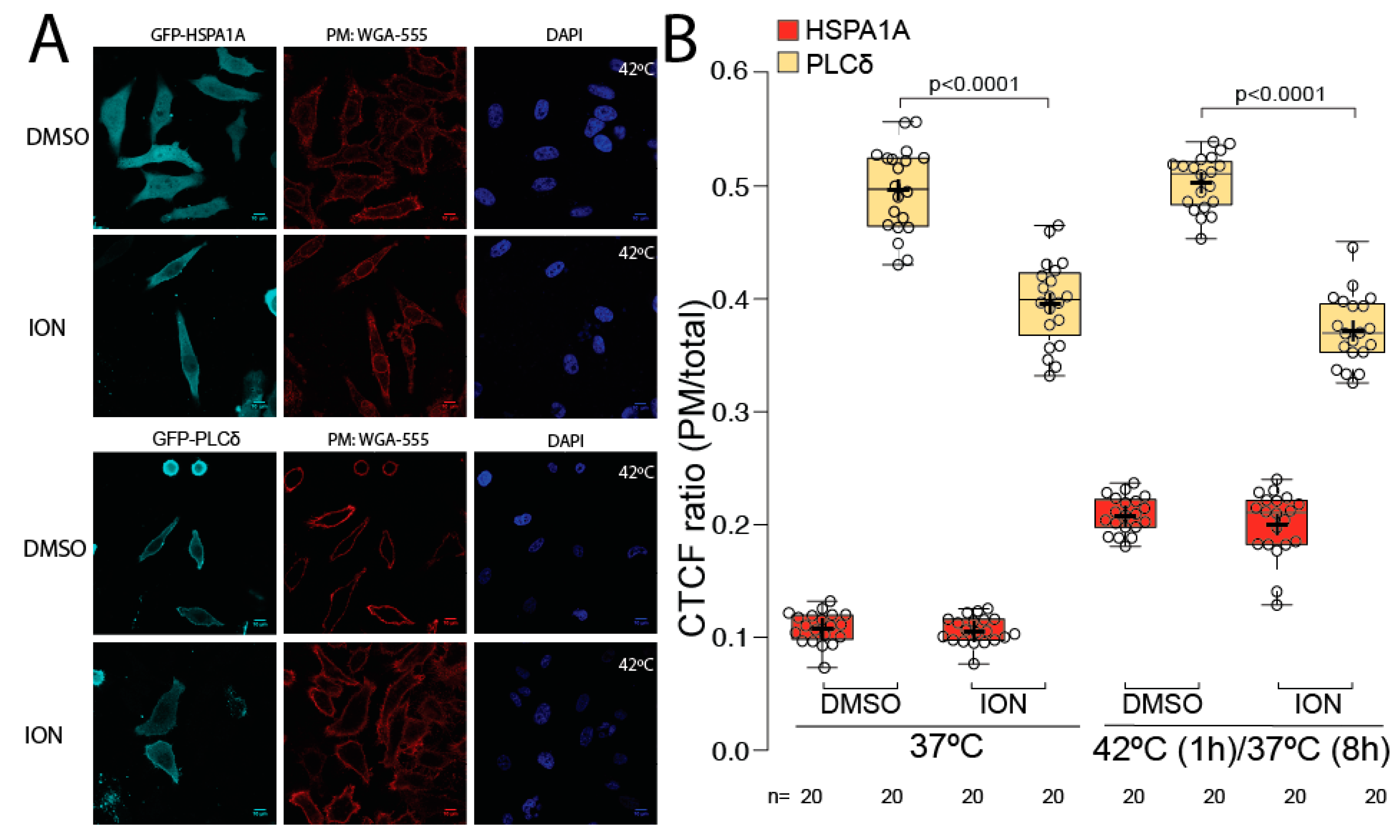 Biomolecules 12 00856 g004