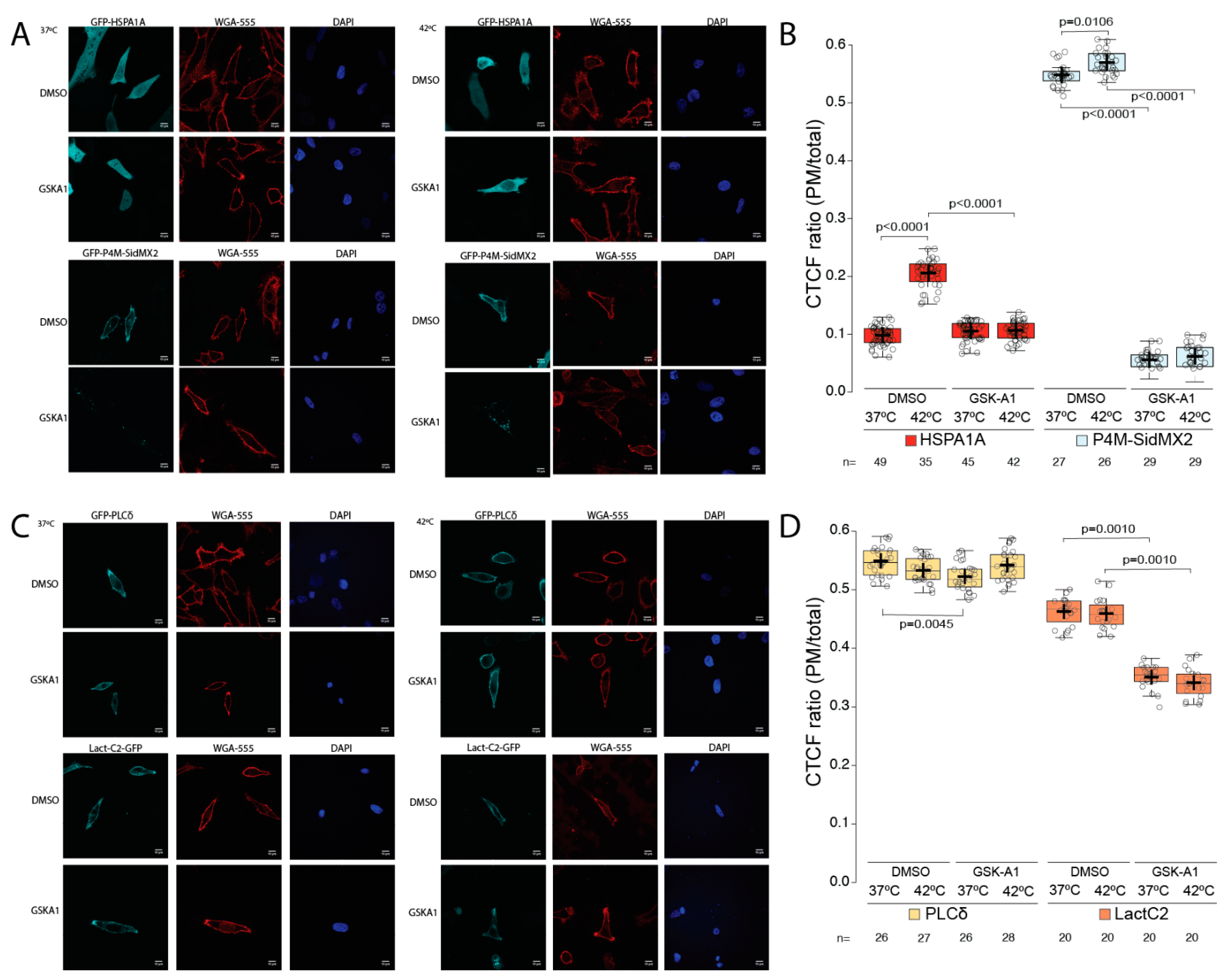 Biomolecules 12 00856 g006