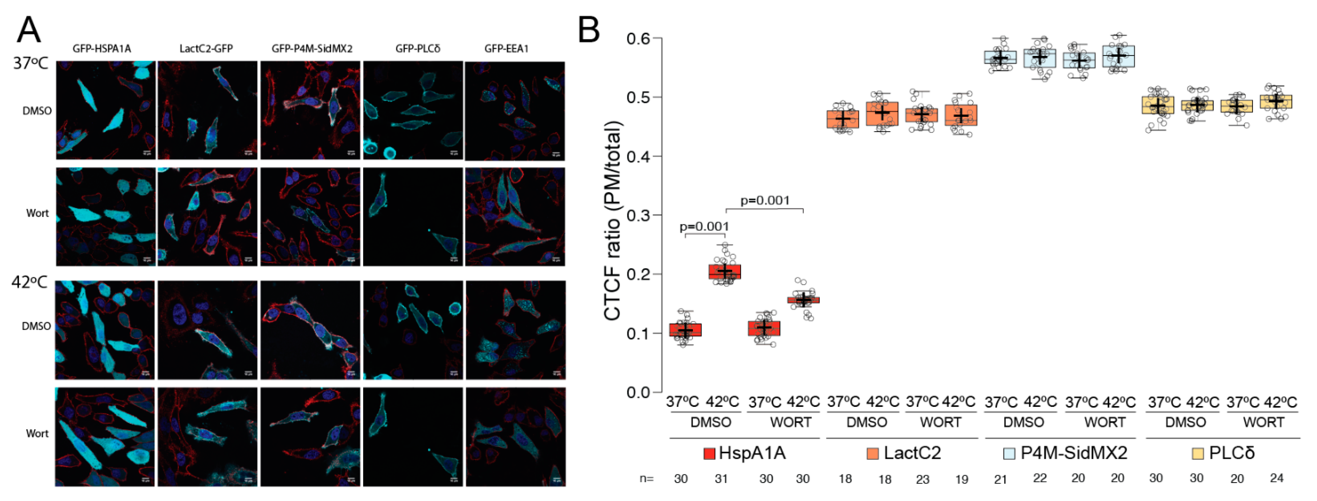 Biomolecules 12 00856 g007