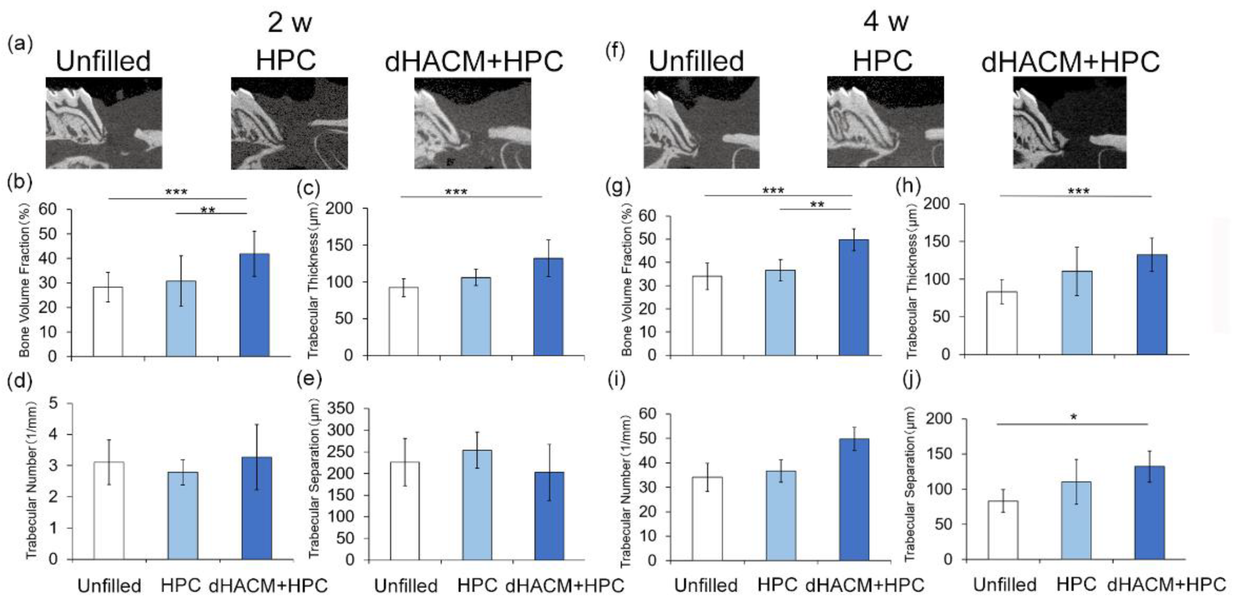 Biomolecules 12 00857 g001 Biomolecules 12 00857 g001