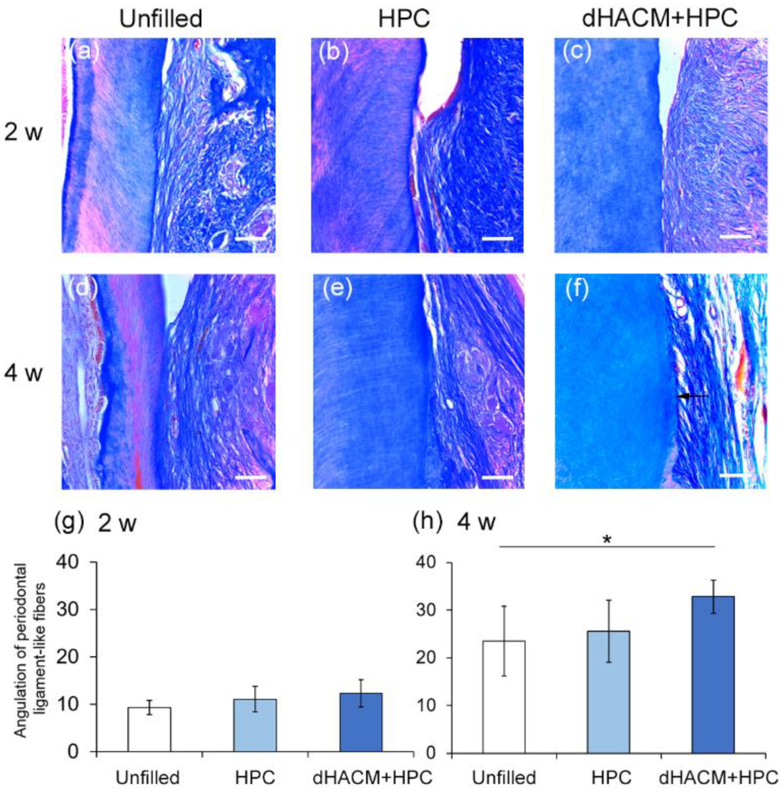 Biomolecules 12 00857 g004 Biomolecules 12 00857 g004