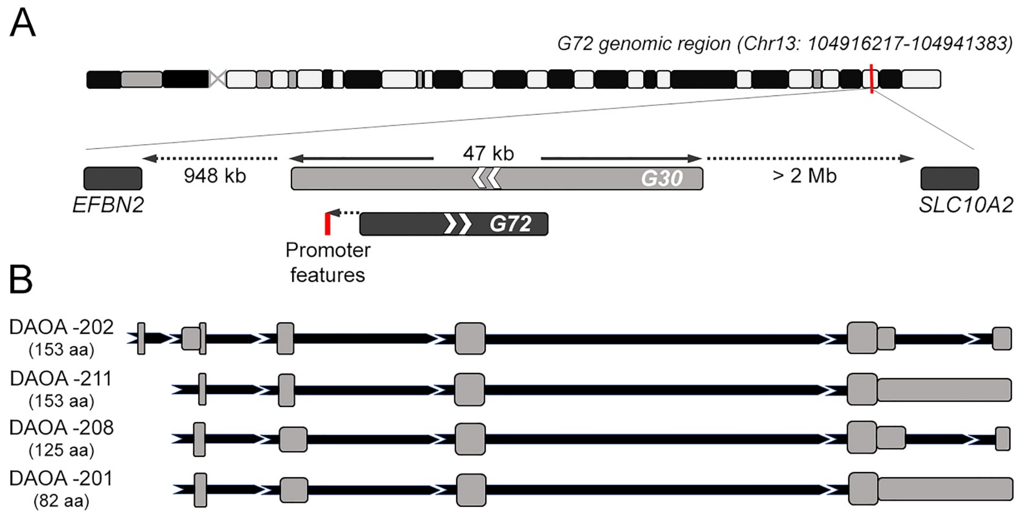 Biomolecules 12 00858 g001 Biomolecules 12 00858 g001