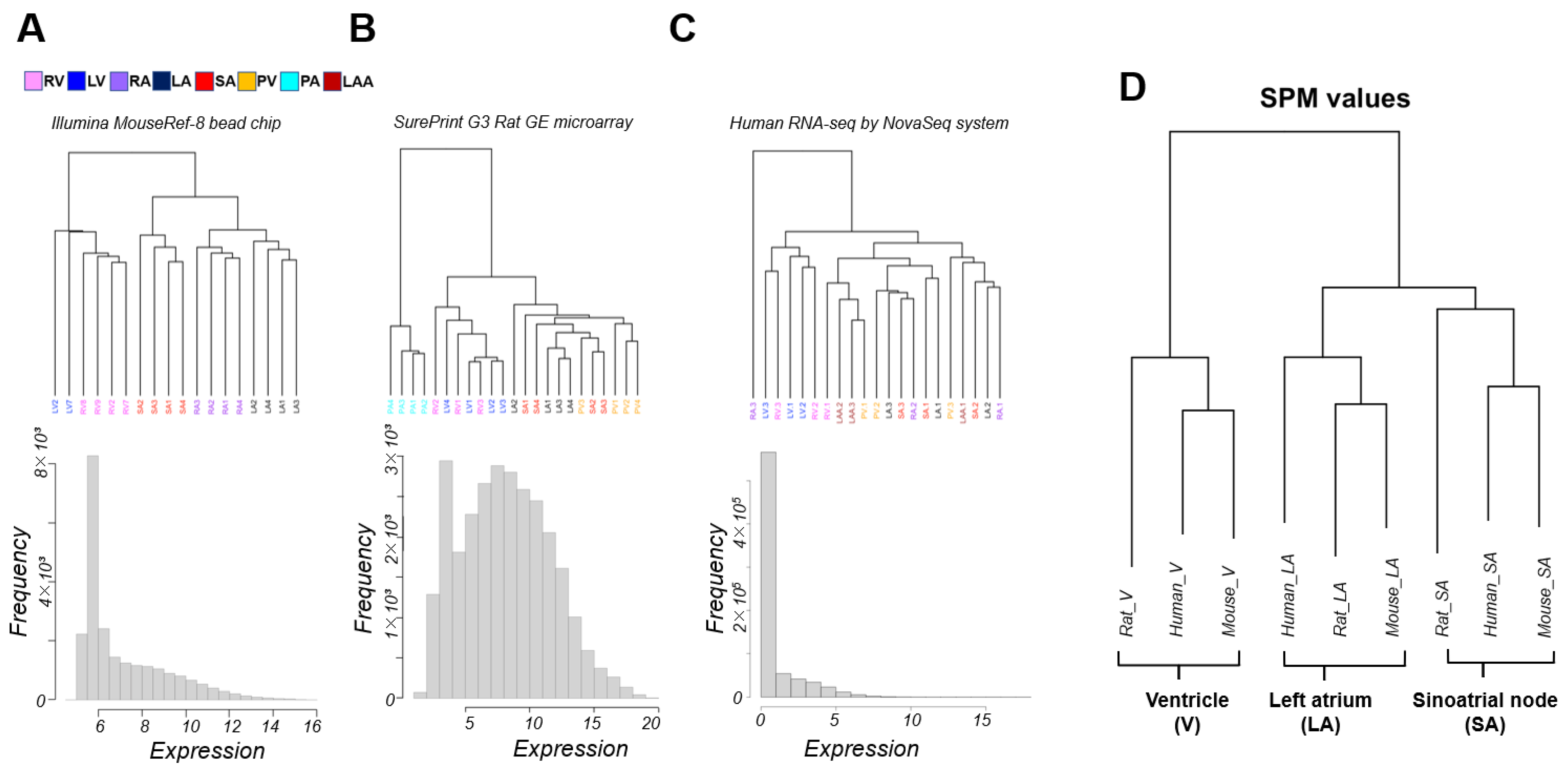Biomolecules 12 00859 g001 Biomolecules 12 00859 g001