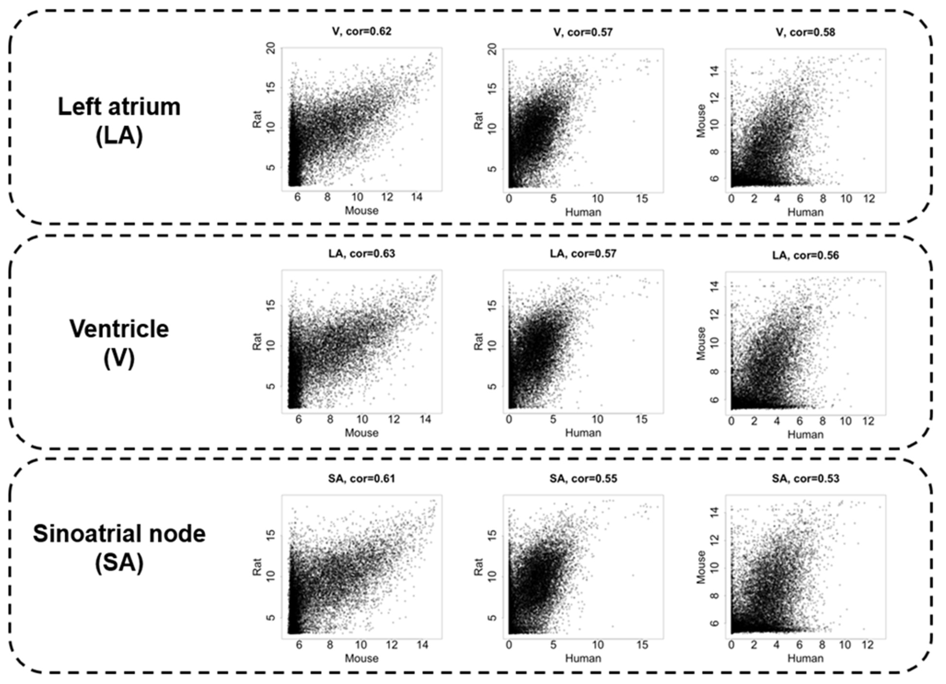 Biomolecules 12 00859 g002 Biomolecules 12 00859 g002