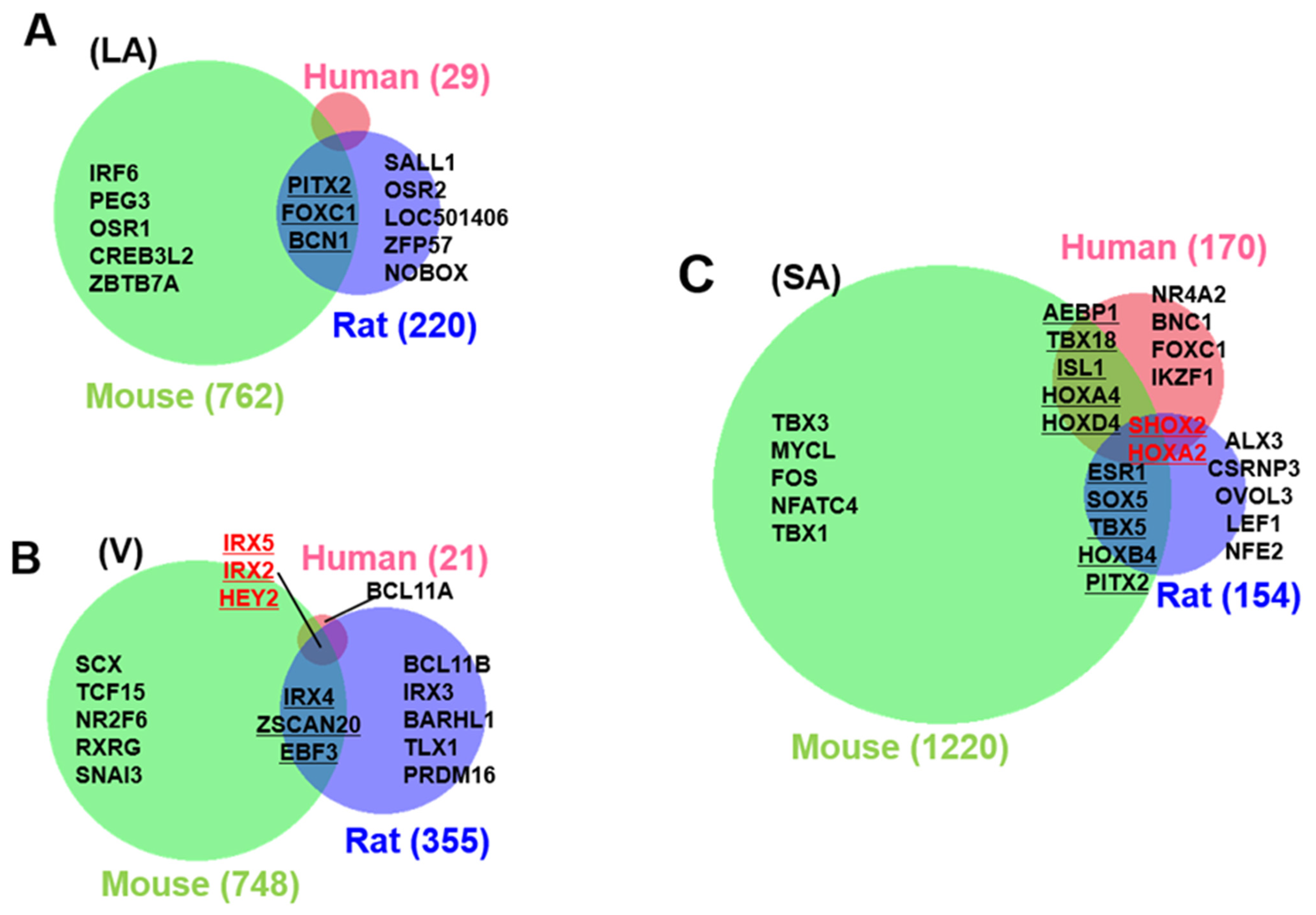 Biomolecules 12 00859 g003 Biomolecules 12 00859 g003
