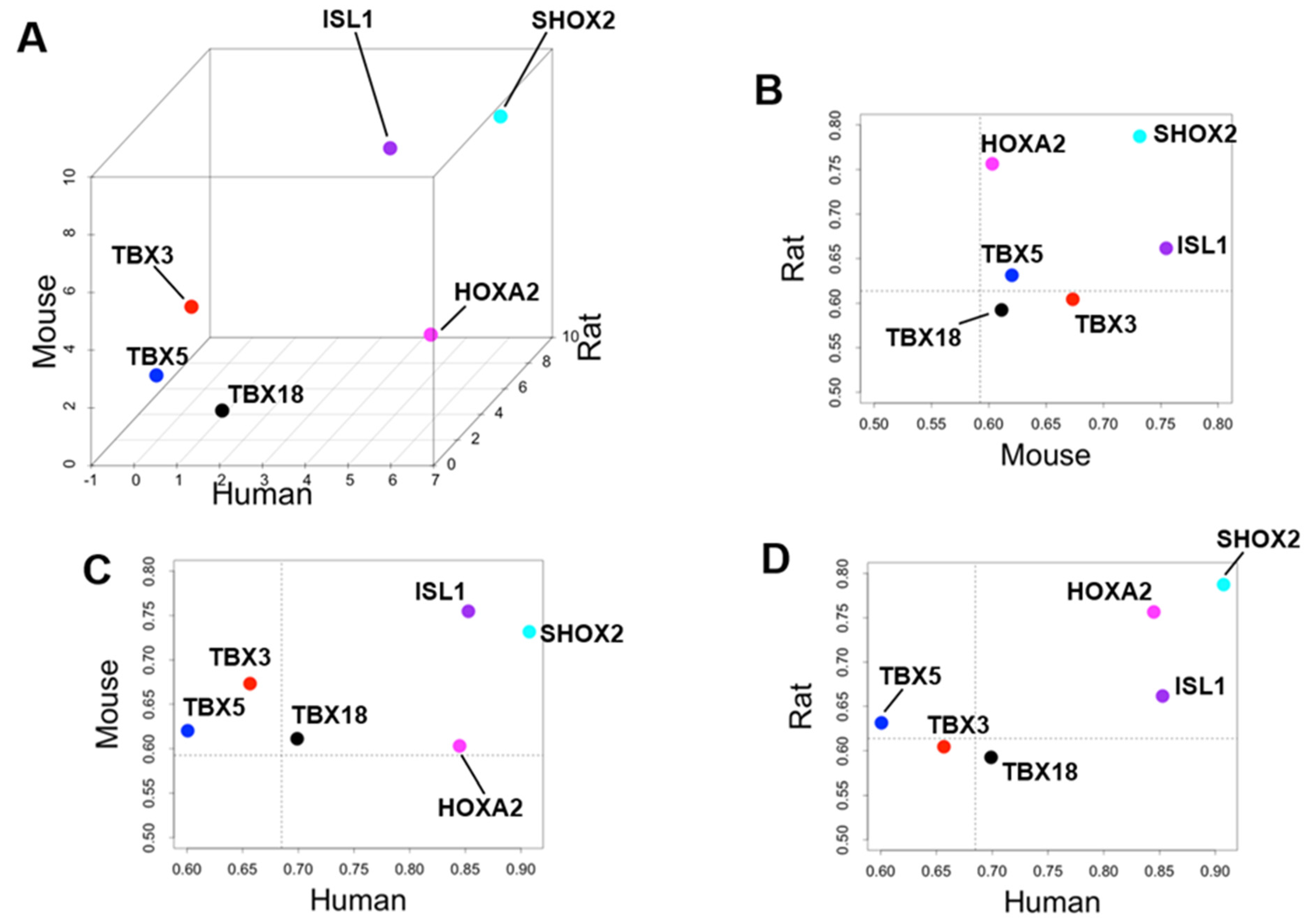Biomolecules 12 00859 g004 Biomolecules 12 00859 g004