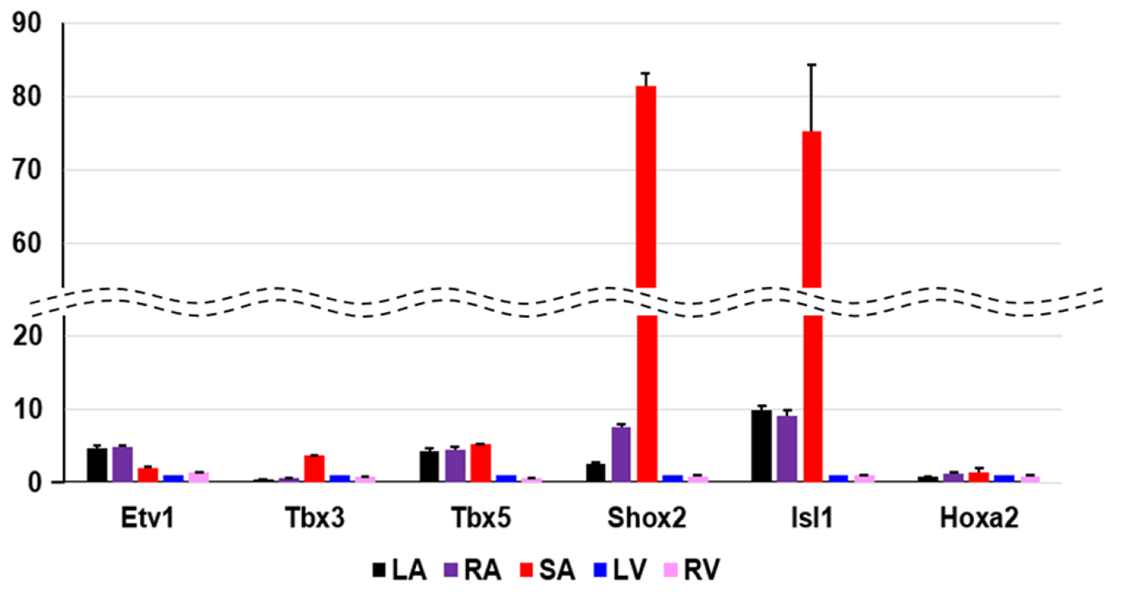 Biomolecules 12 00859 g005 Biomolecules 12 00859 g005