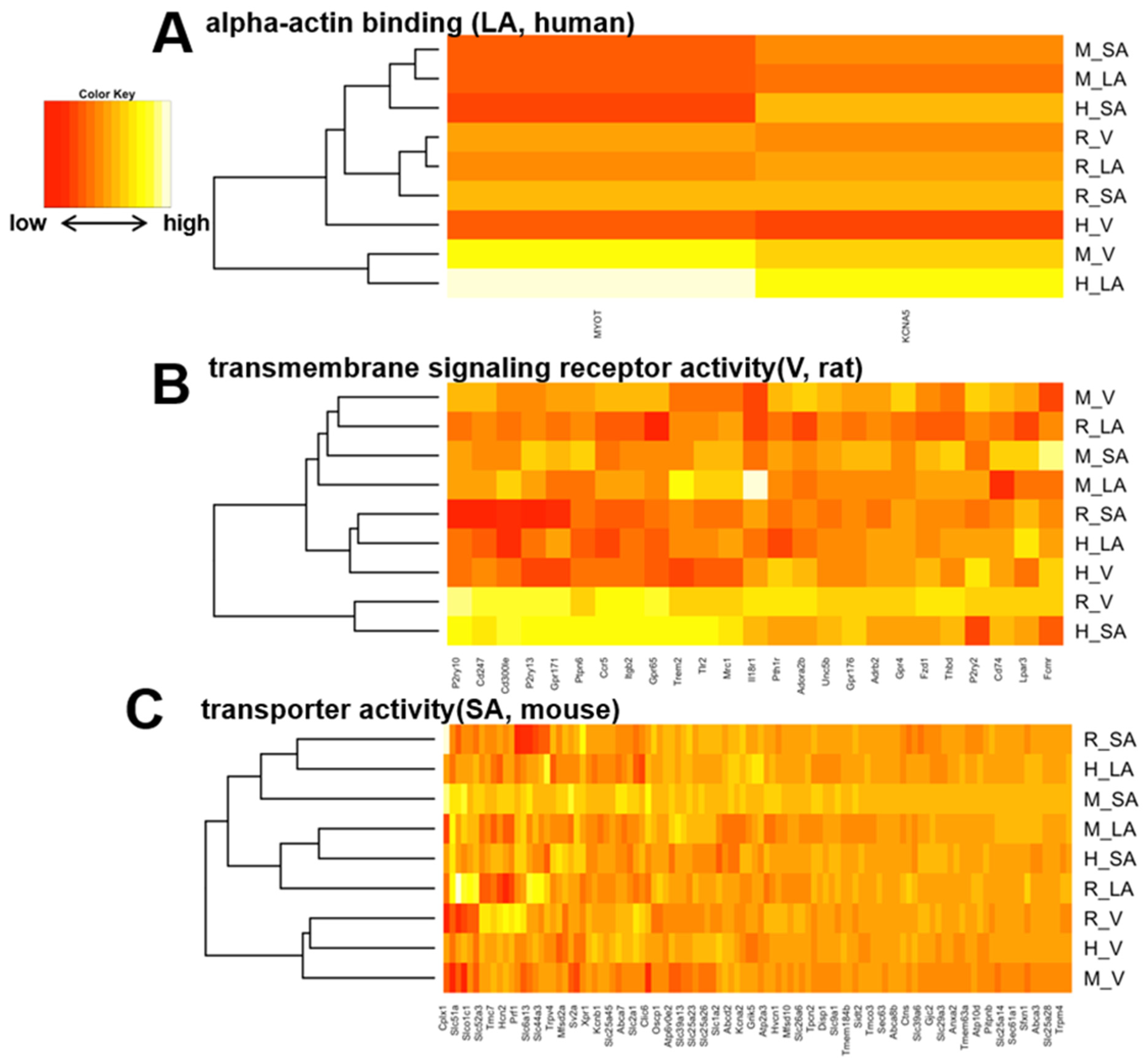 Biomolecules 12 00859 g007 Biomolecules 12 00859 g007