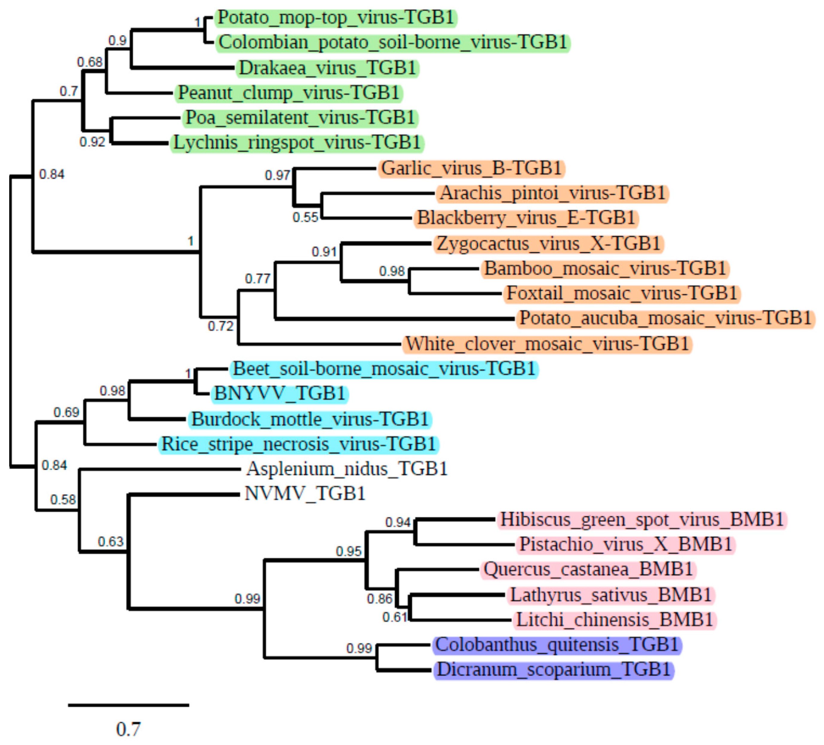 Biomolecules 12 00861 g001 550