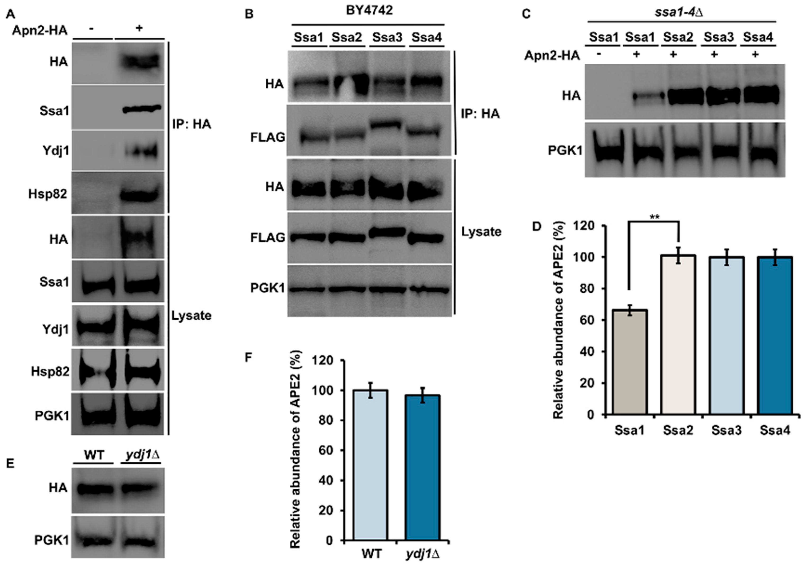 Biomolecules 12 00864 g001