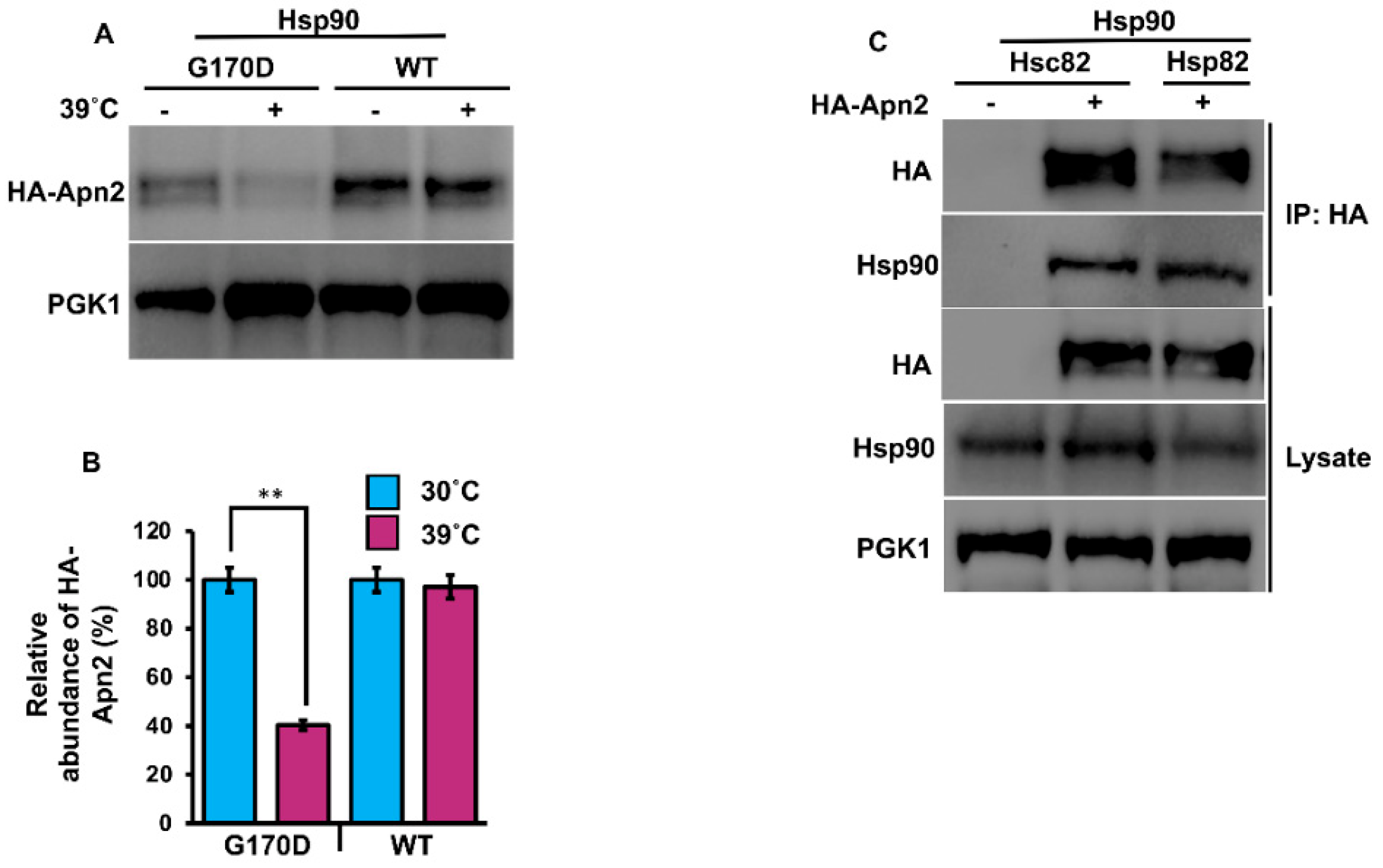 Biomolecules 12 00864 g002