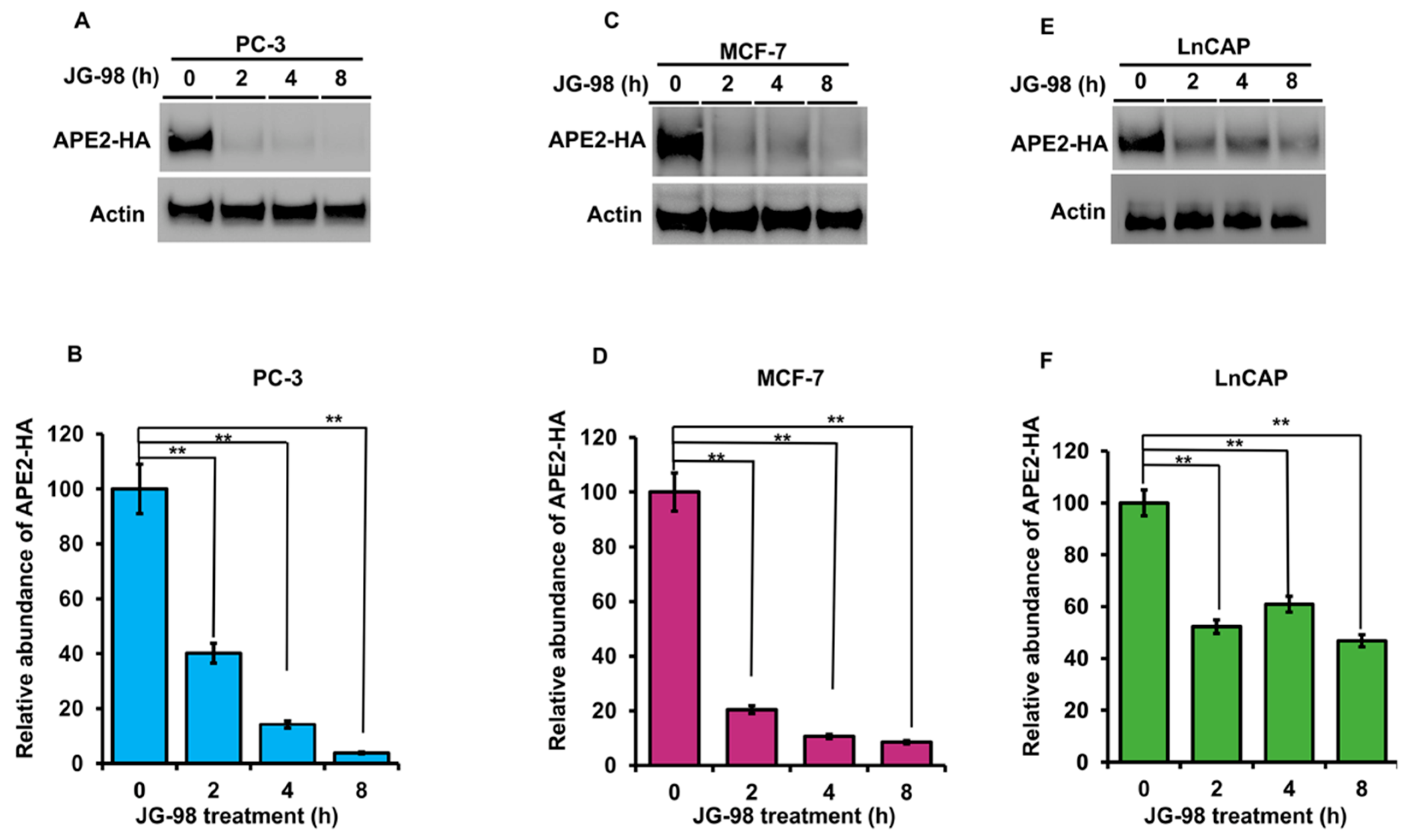 Biomolecules 12 00864 g005