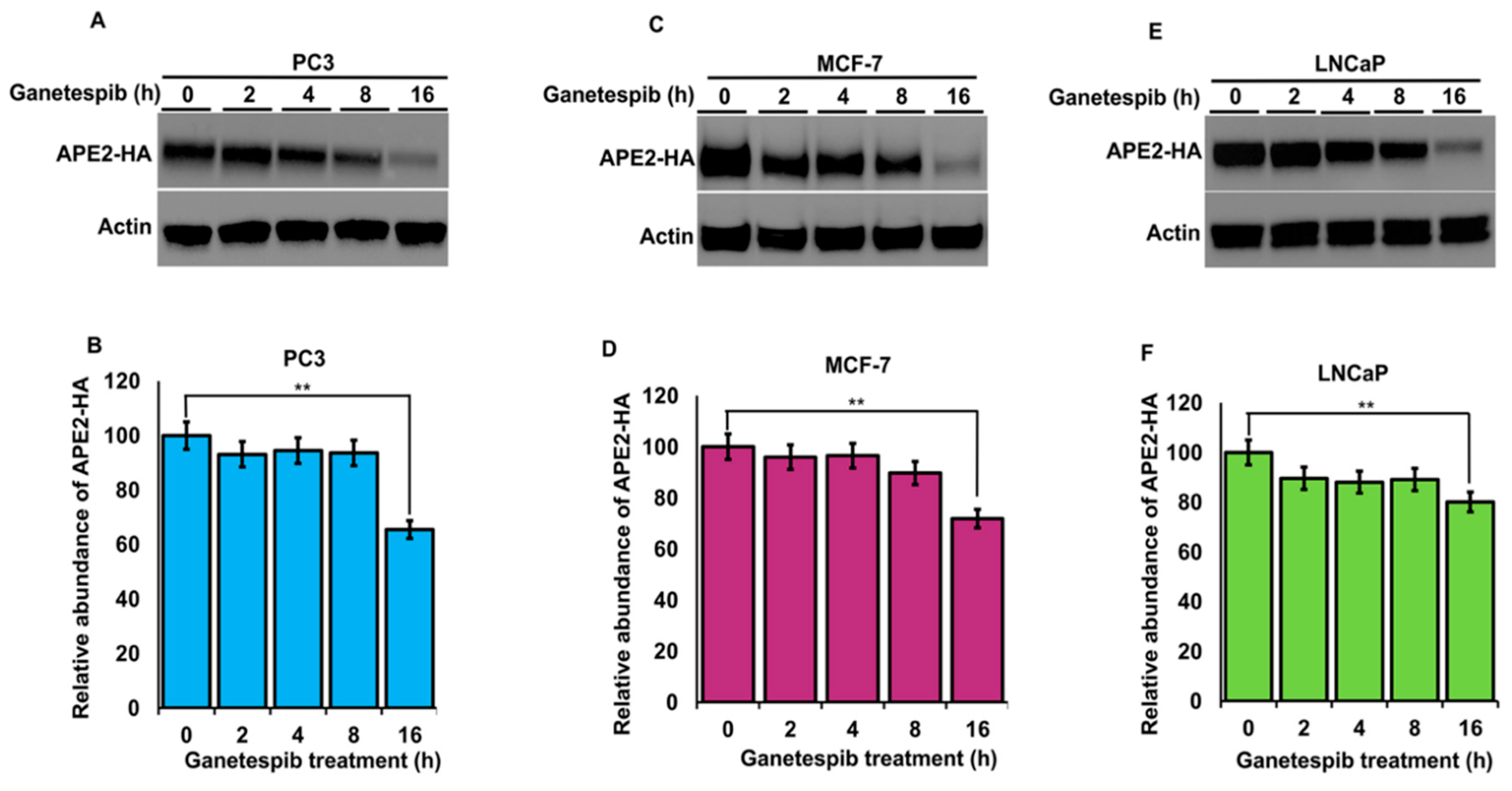 Biomolecules 12 00864 g006