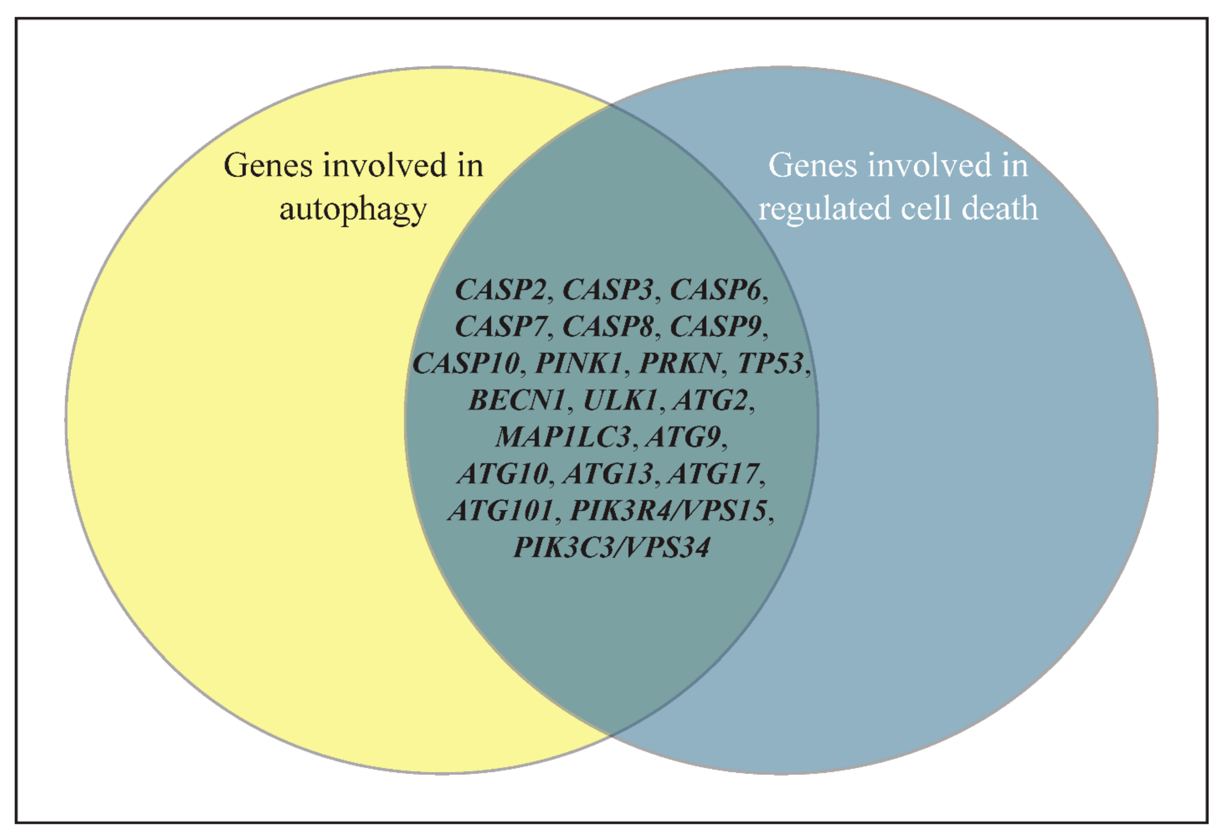Biomolecules 12 00866 g002 550