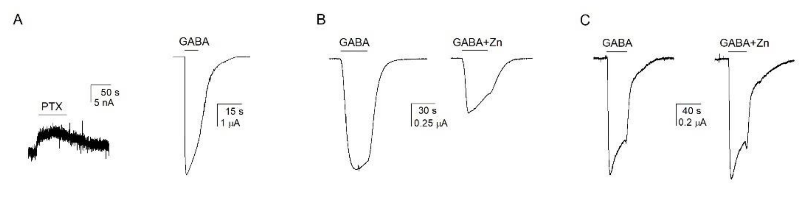 Biomolecules 12 00868 g002