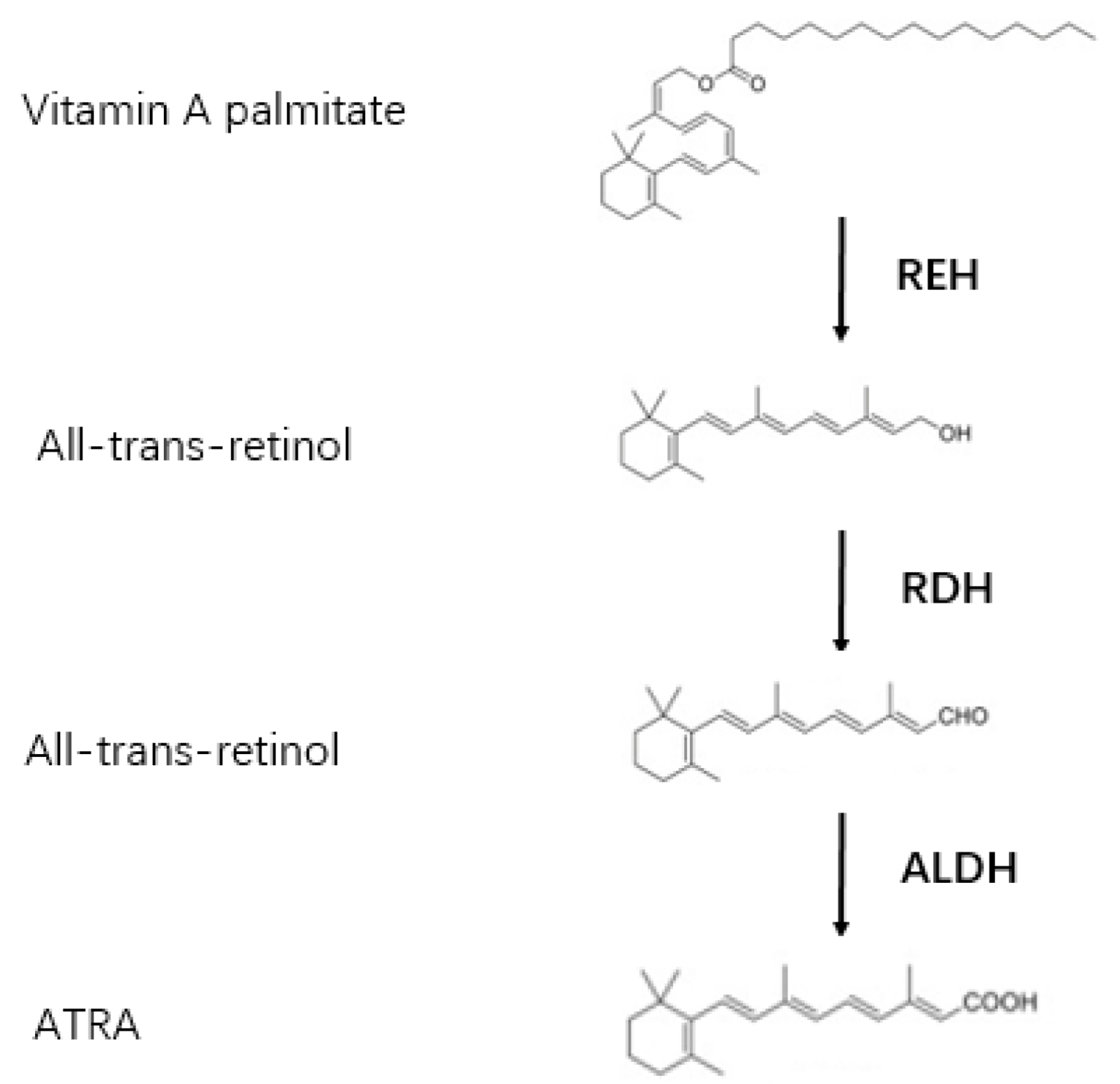 Biomolecules 12 00869 g001 Biomolecules 12 00869 g001