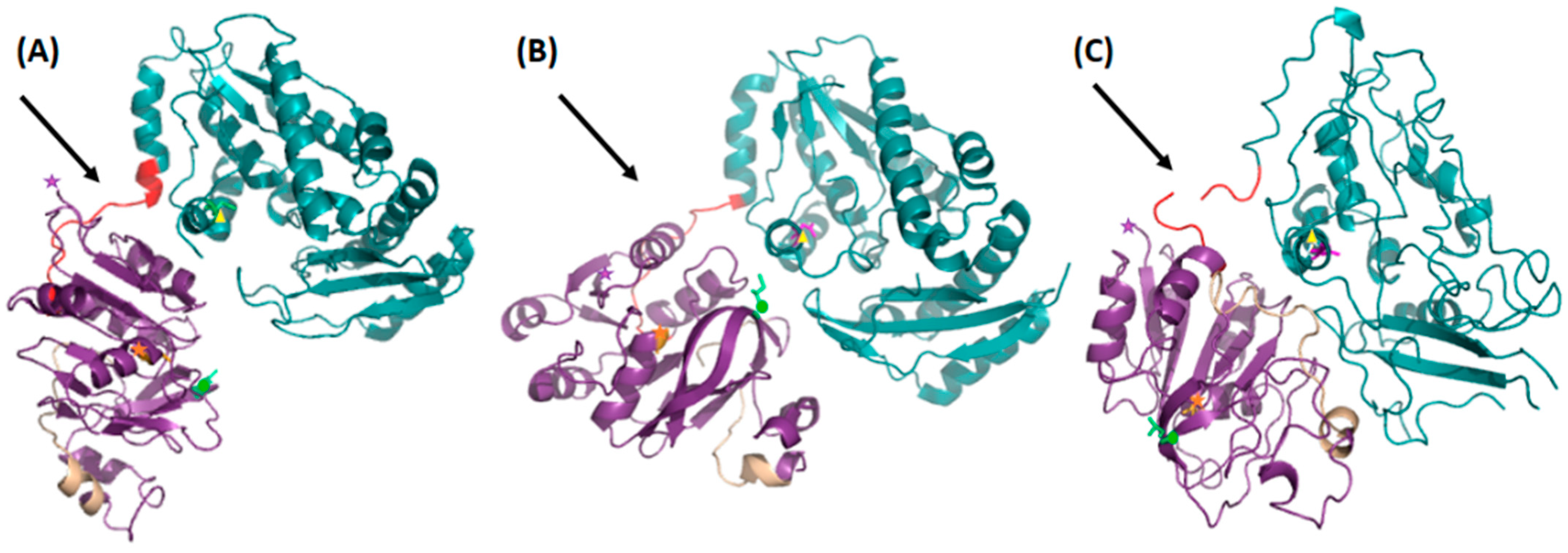 Biomolecules 12 00871 g001