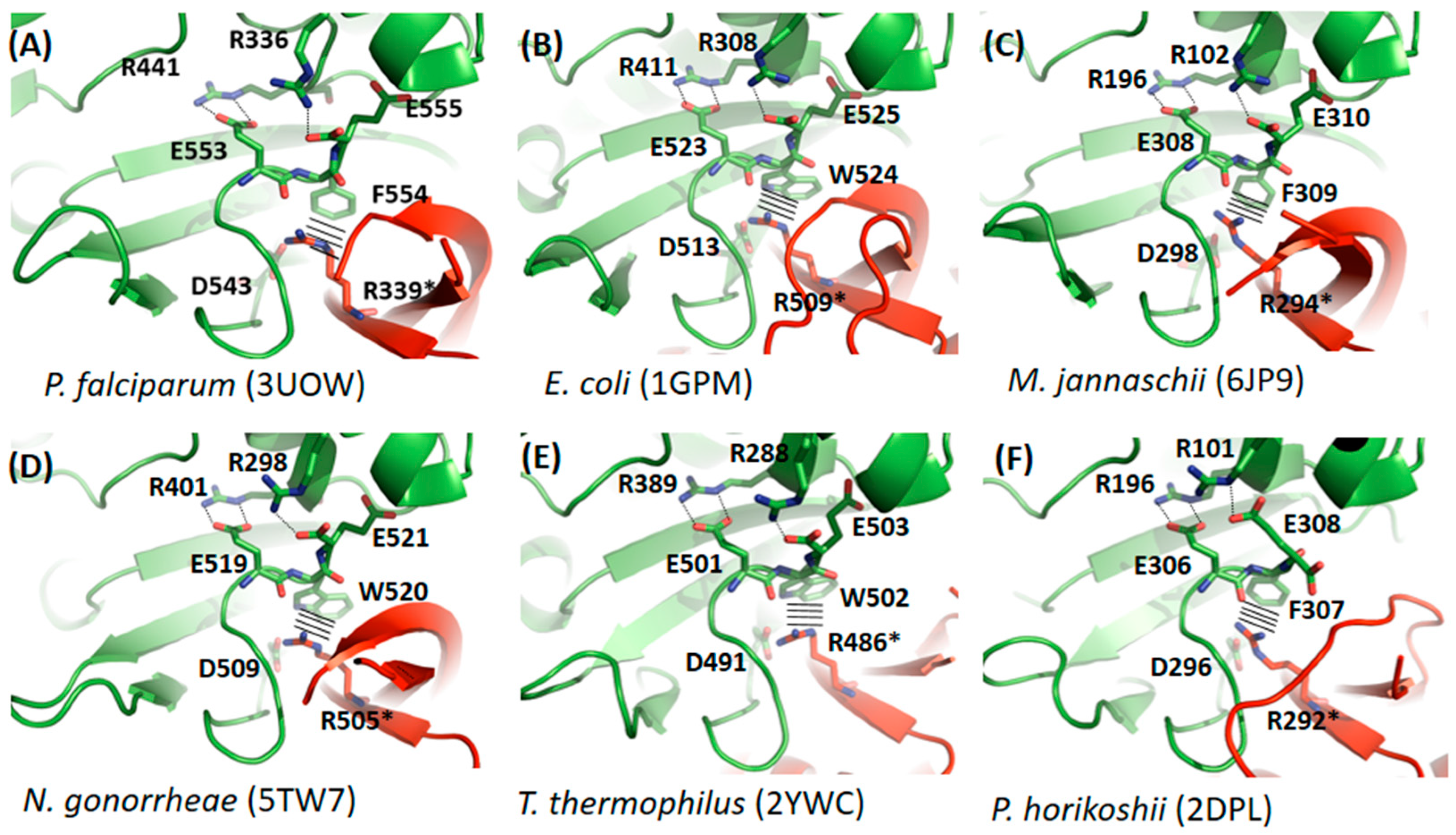 Biomolecules 12 00871 g003