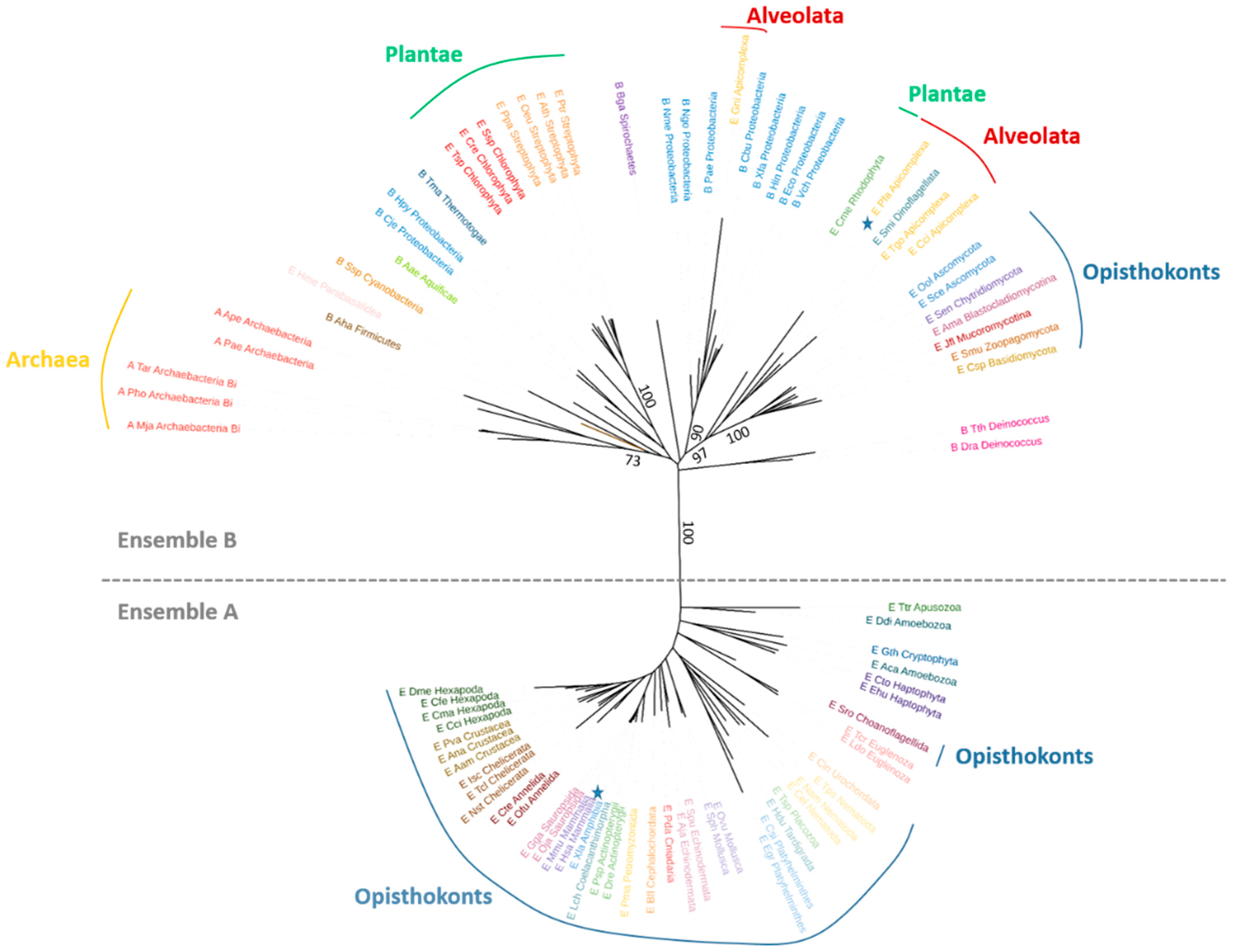 Biomolecules 12 00871 g005