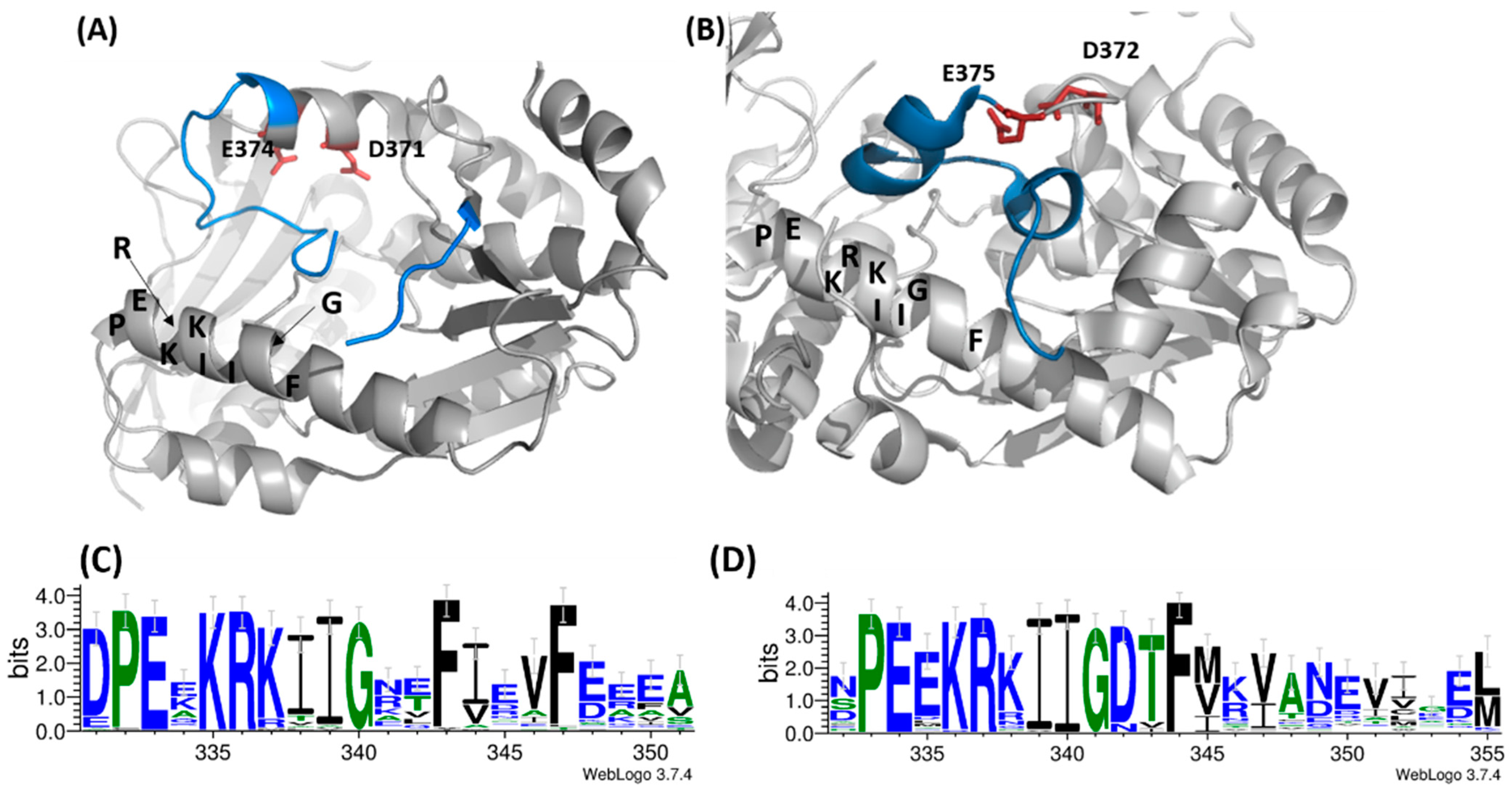 Biomolecules 12 00871 g006