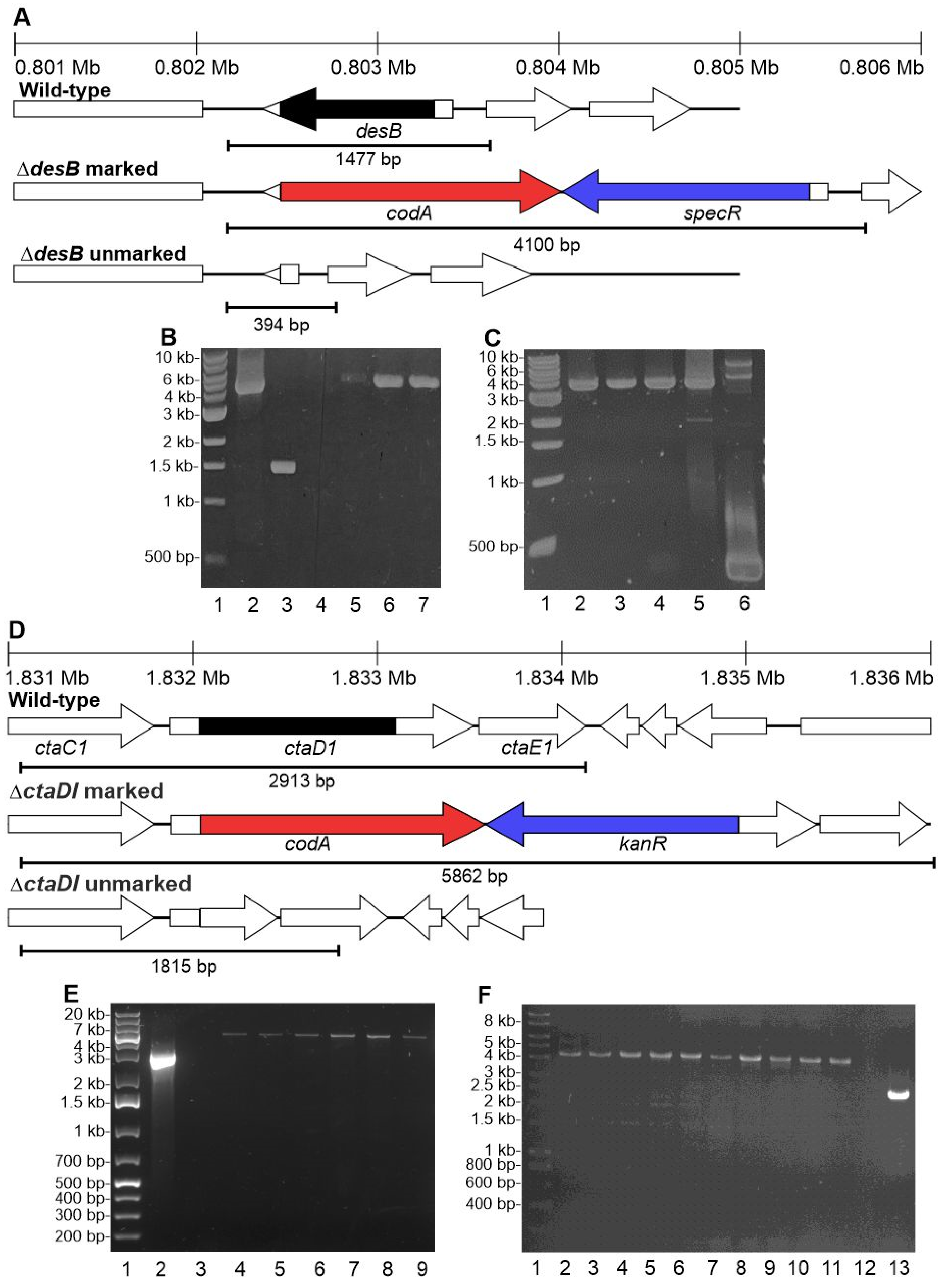 Biomolecules 12 00872 g005a