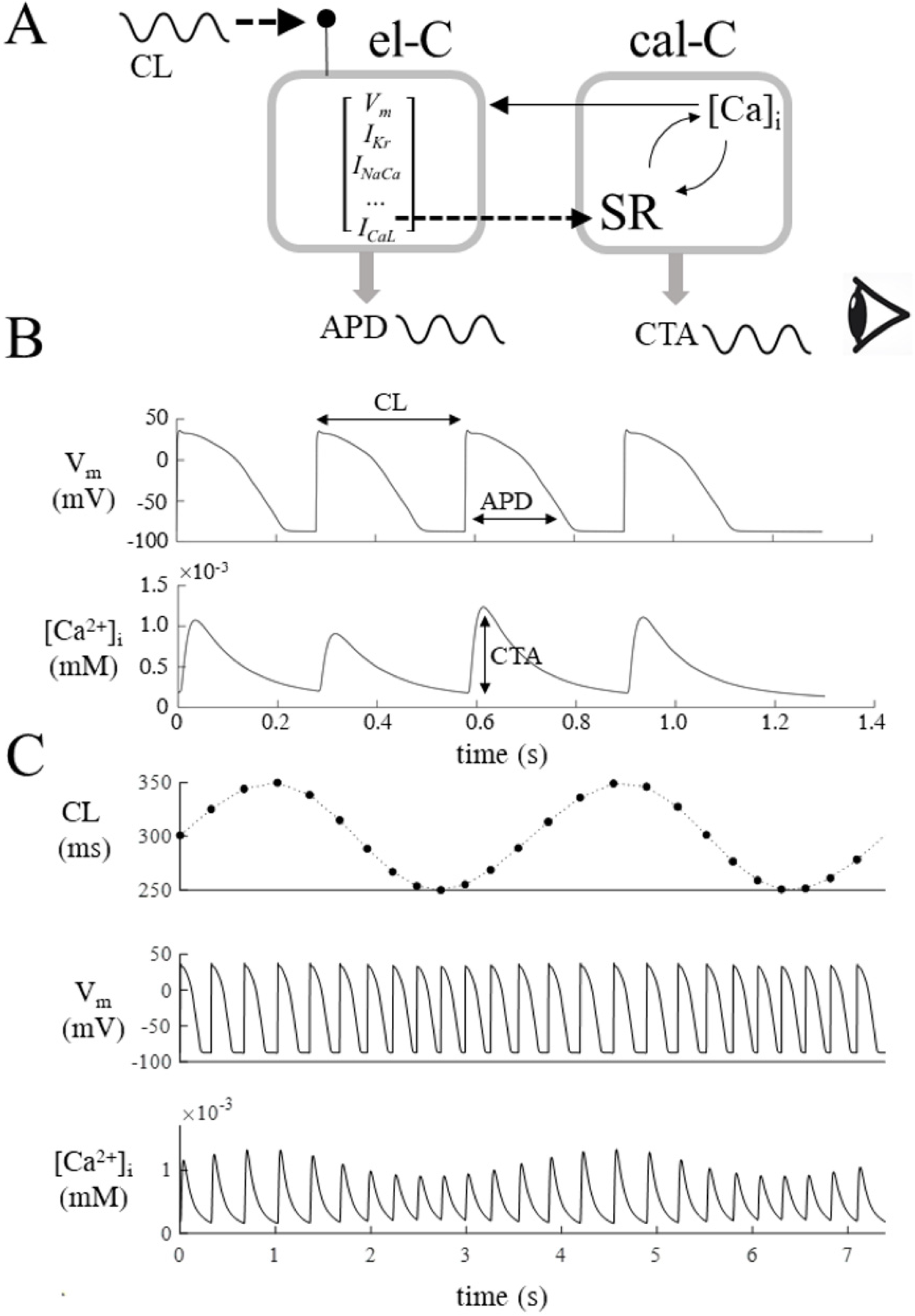 Biomolecules 12 00873 g001