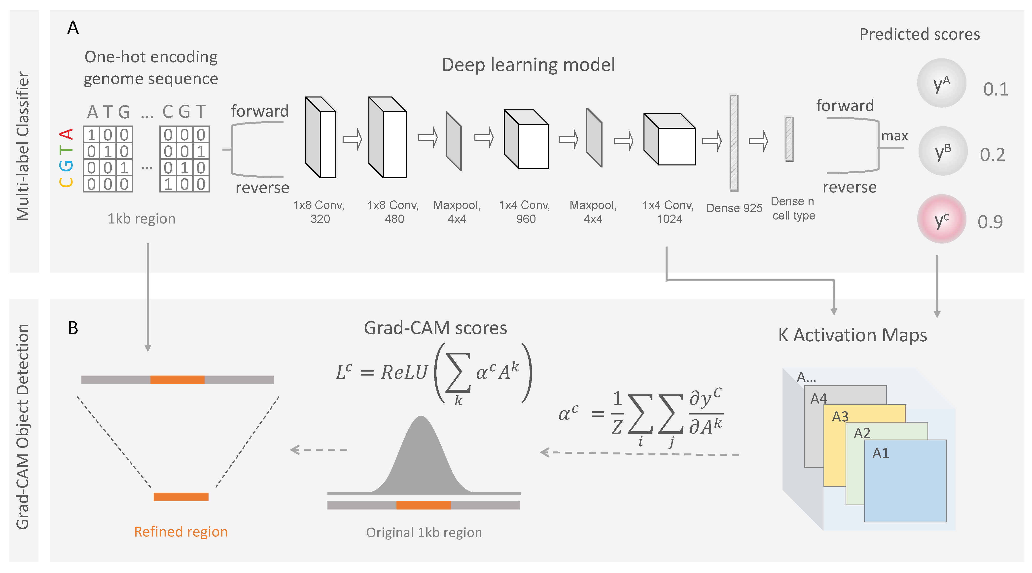 Biomolecules 12 00874 g002