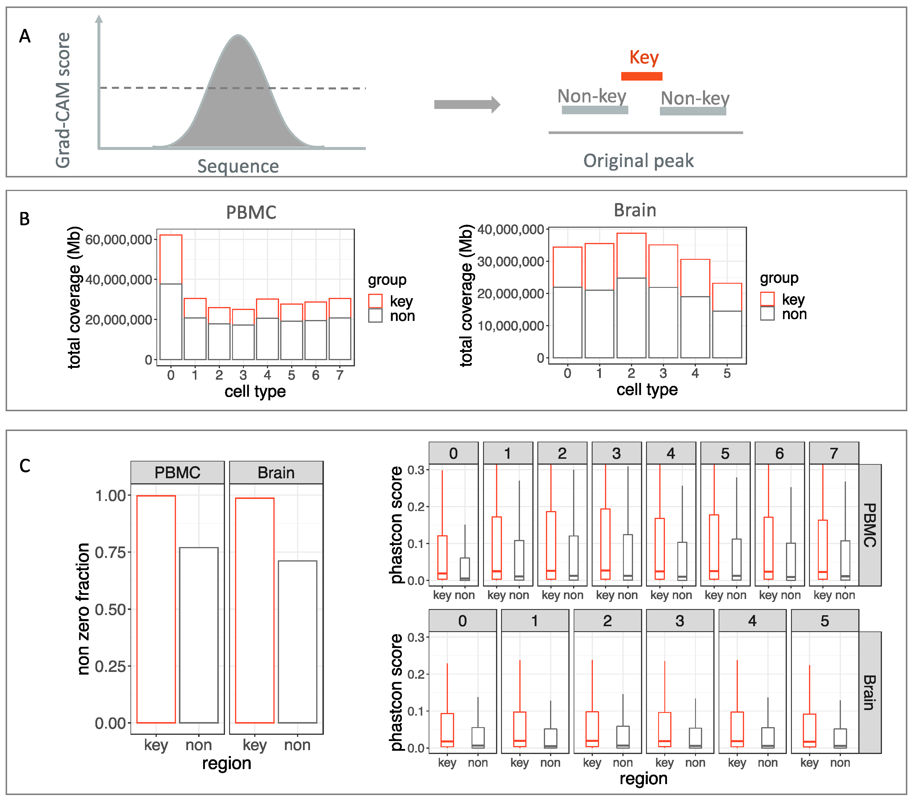 Biomolecules 12 00874 g004