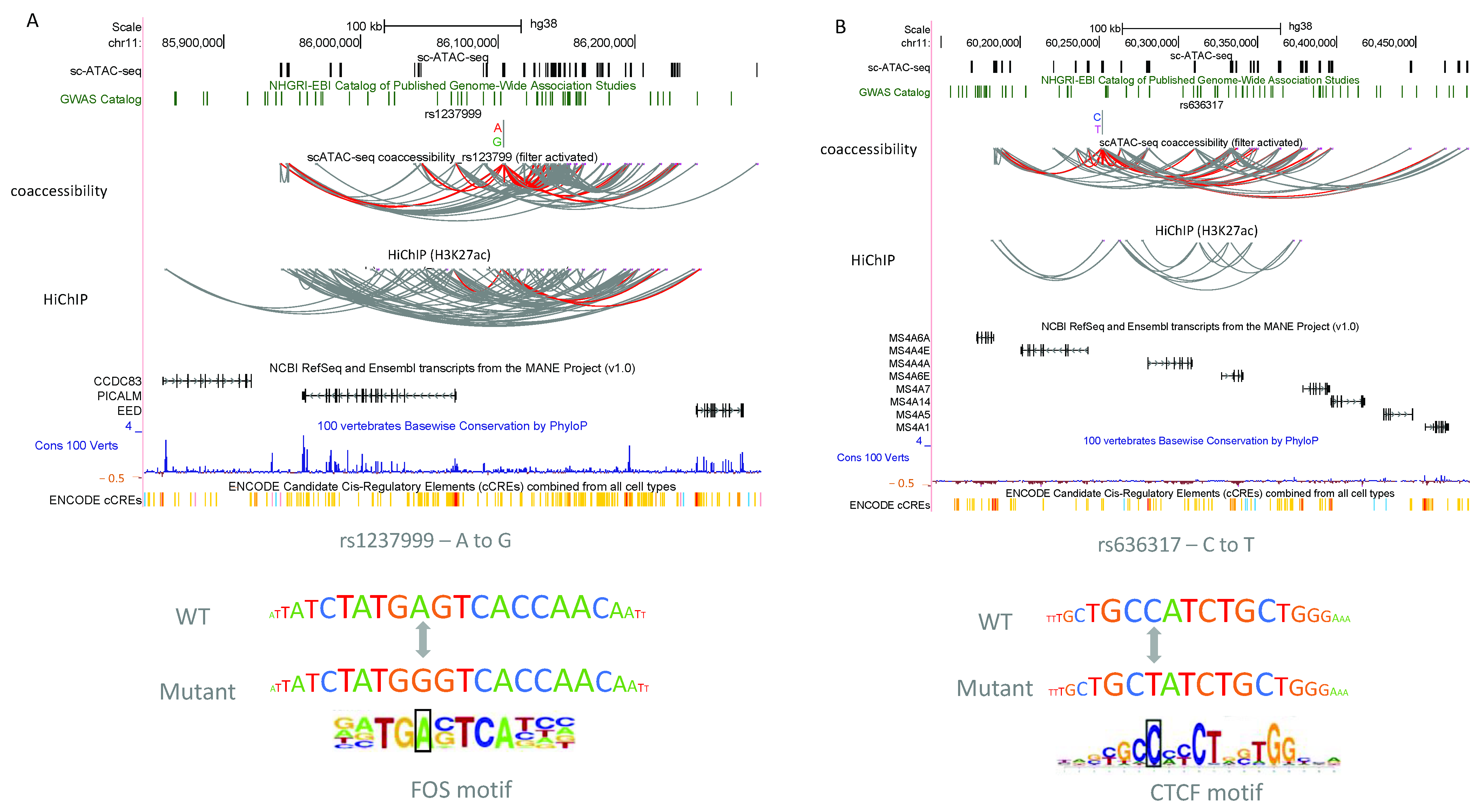 Biomolecules 12 00874 g006