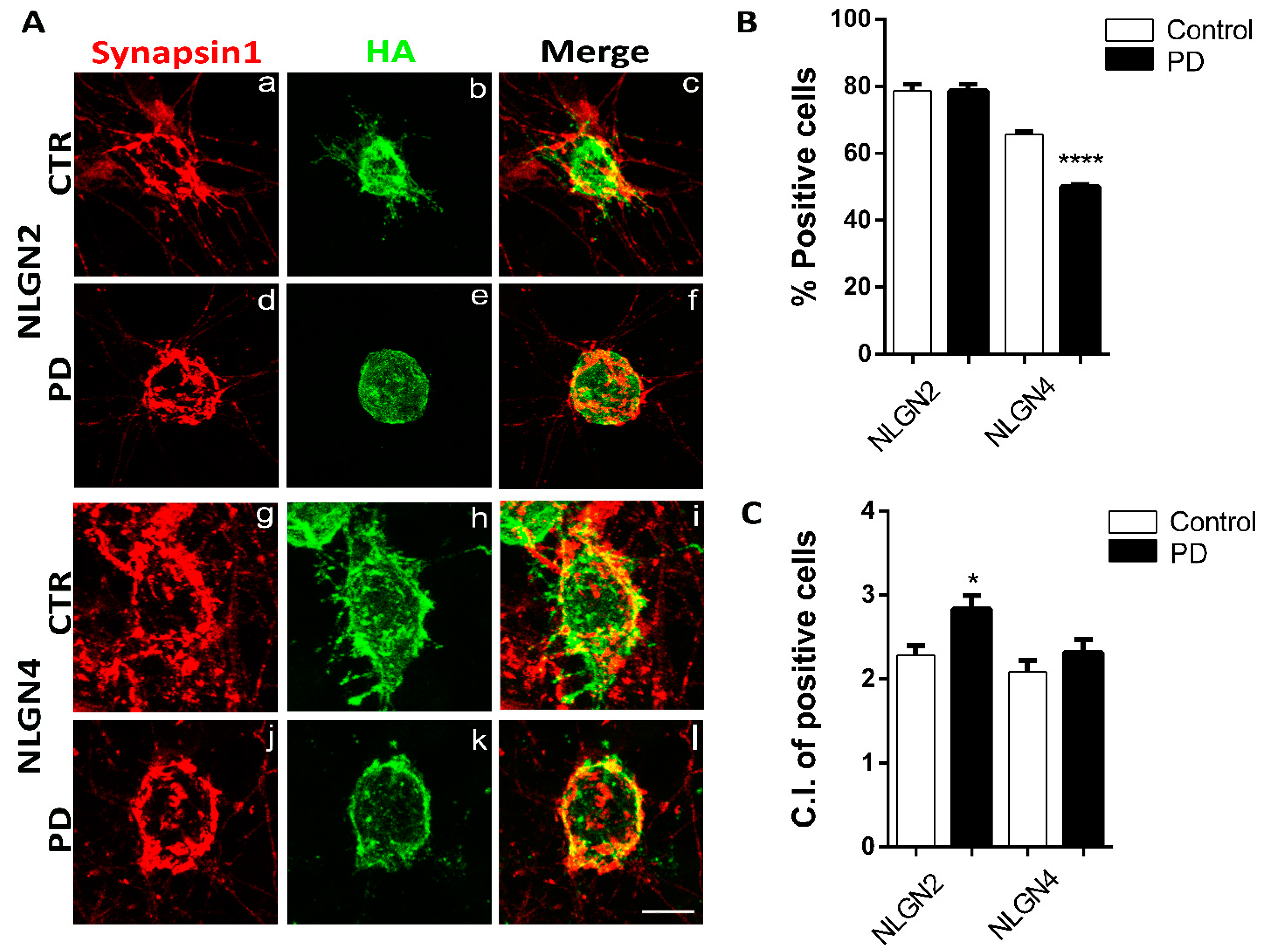 Biomolecules 12 00876 g004 Biomolecules 12 00876 g004