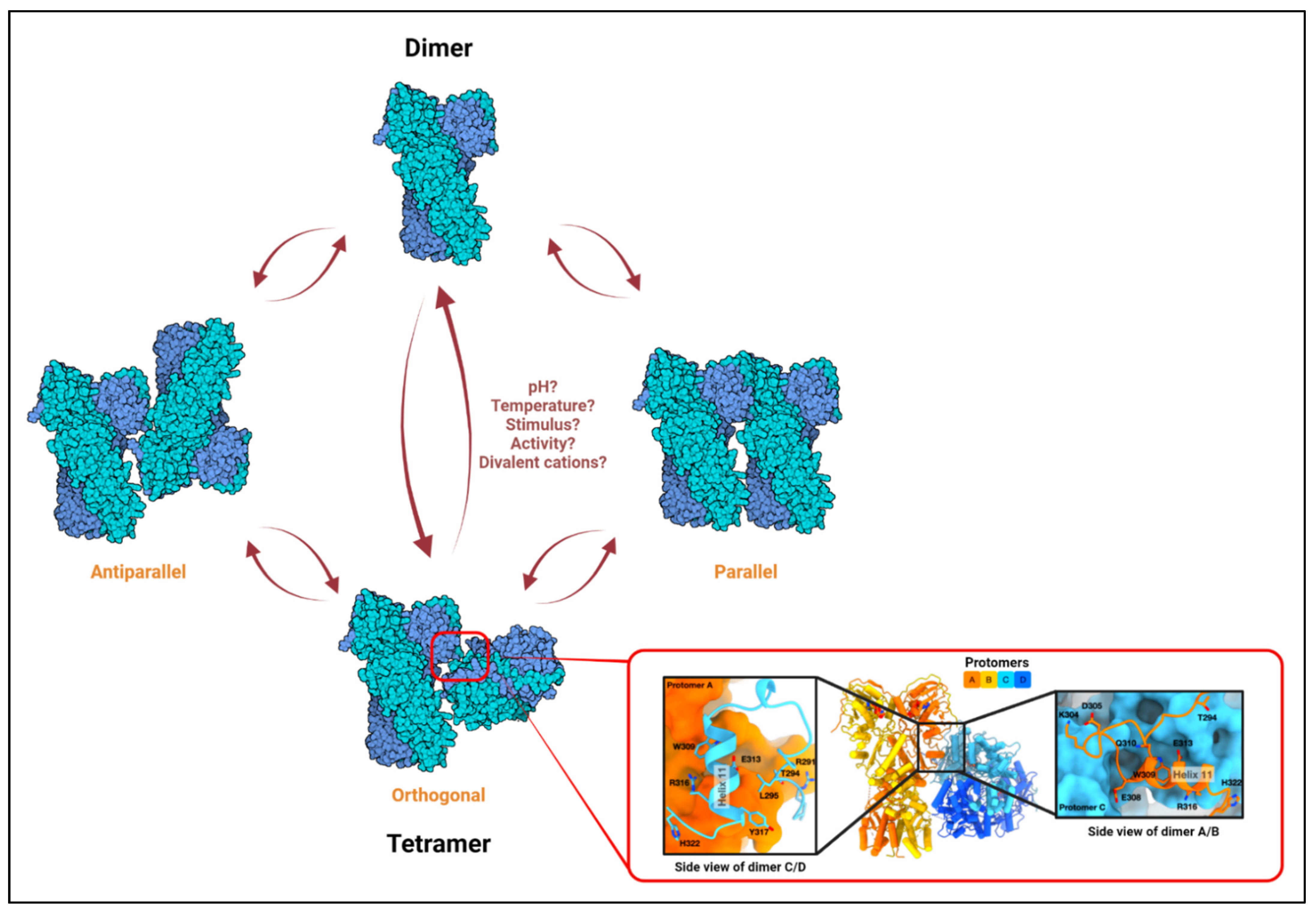 Biomolecules 12 00880 g001 Biomolecules 12 00880 g001