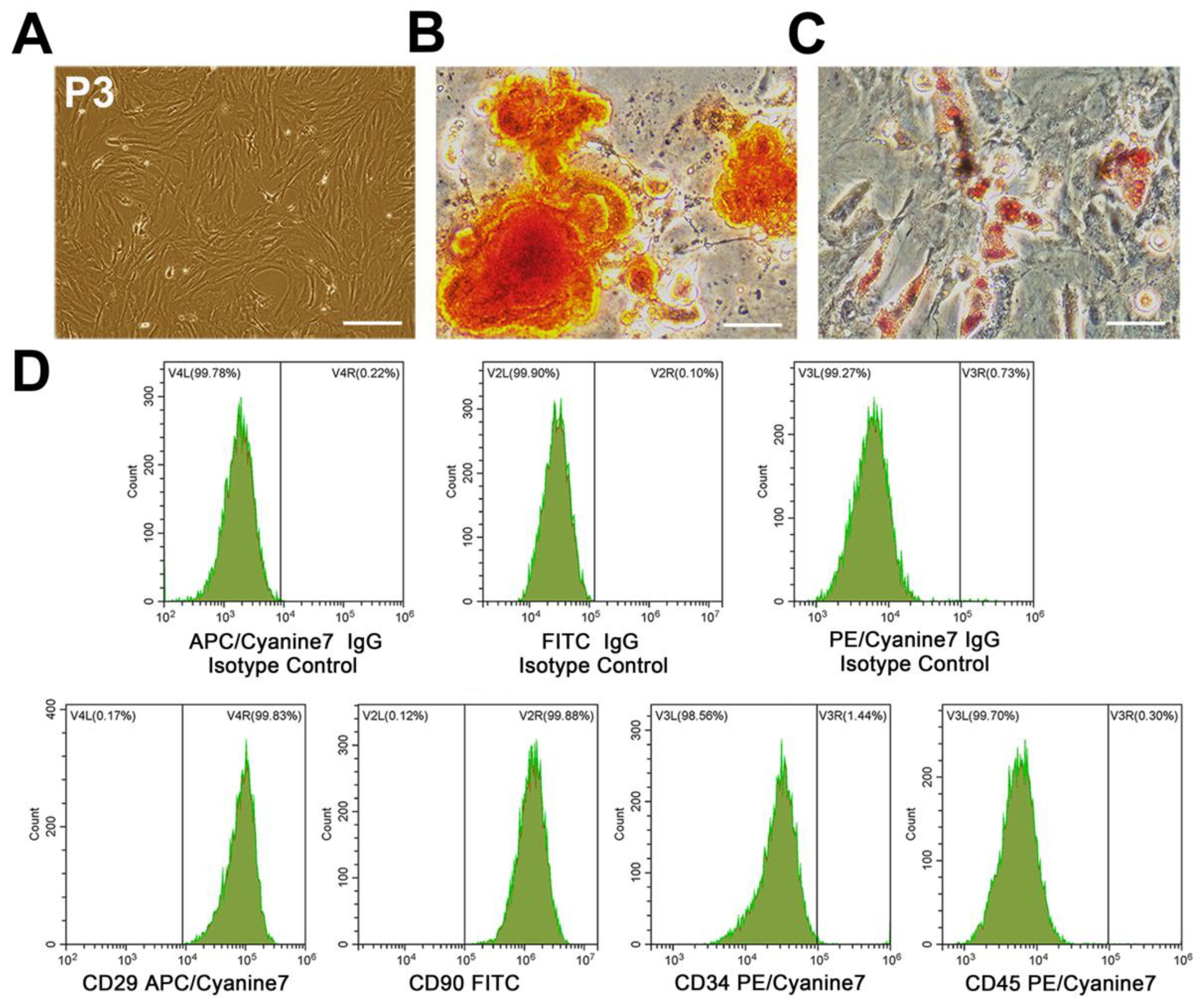 Biomolecules 12 00883 g001