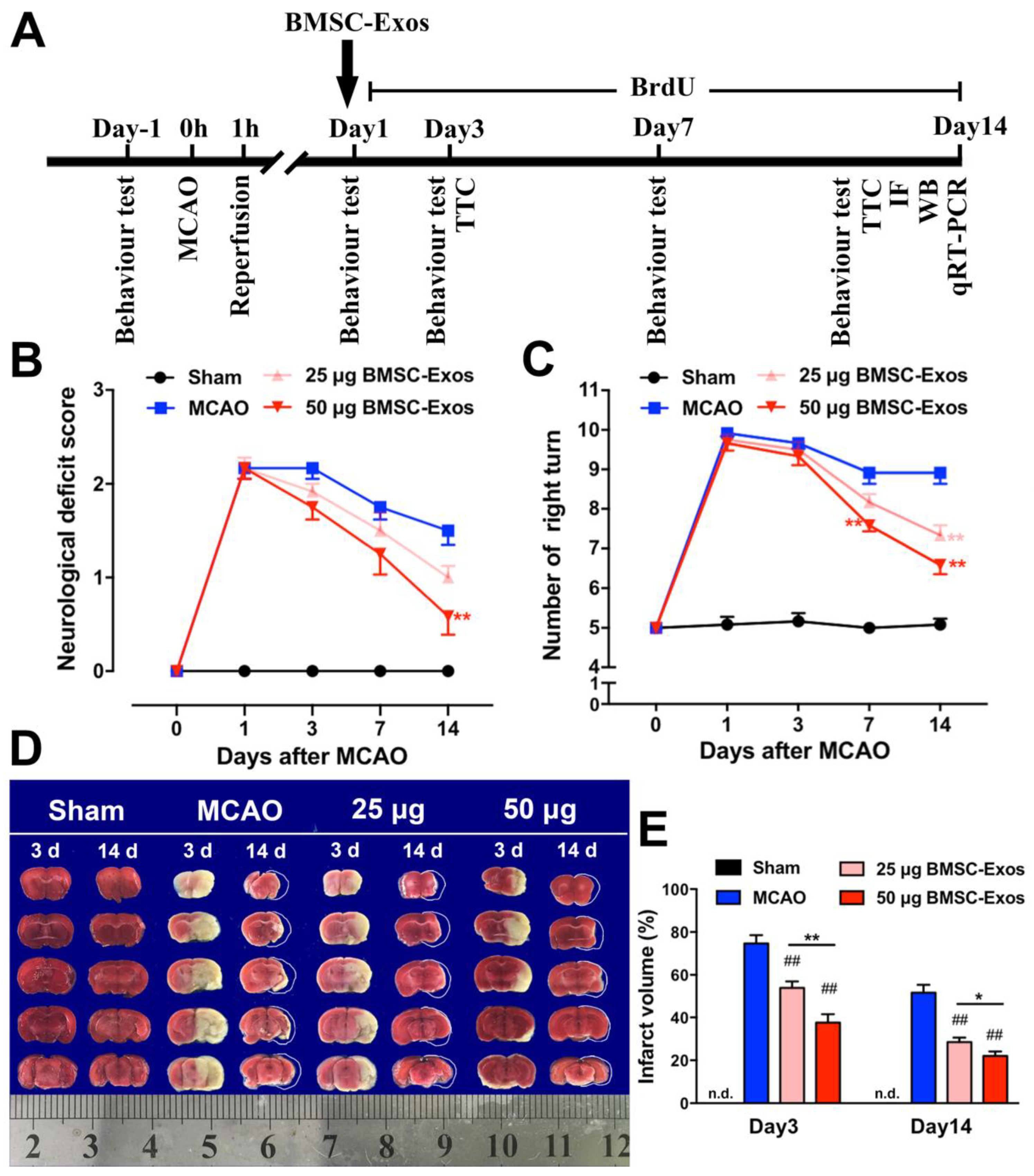 Biomolecules 12 00883 g003