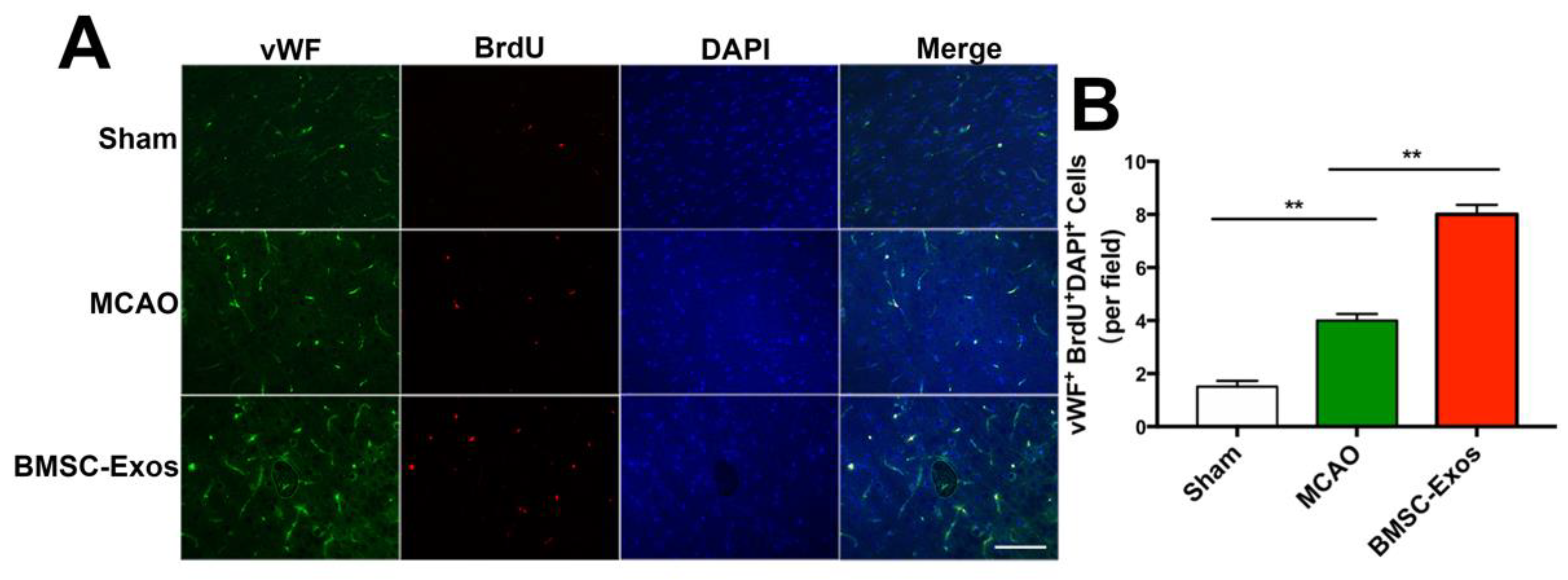 Biomolecules 12 00883 g004